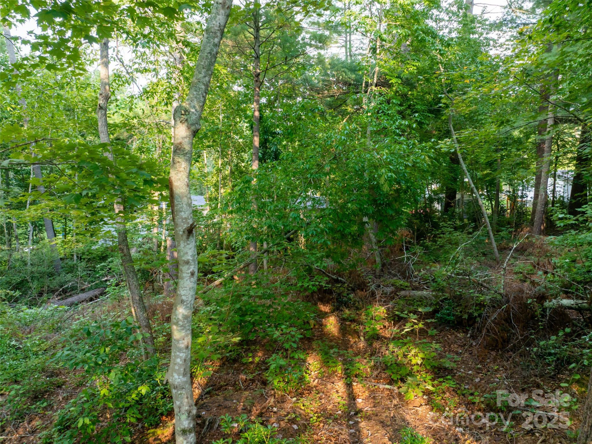 407 Melnick Terrace - Photo 10