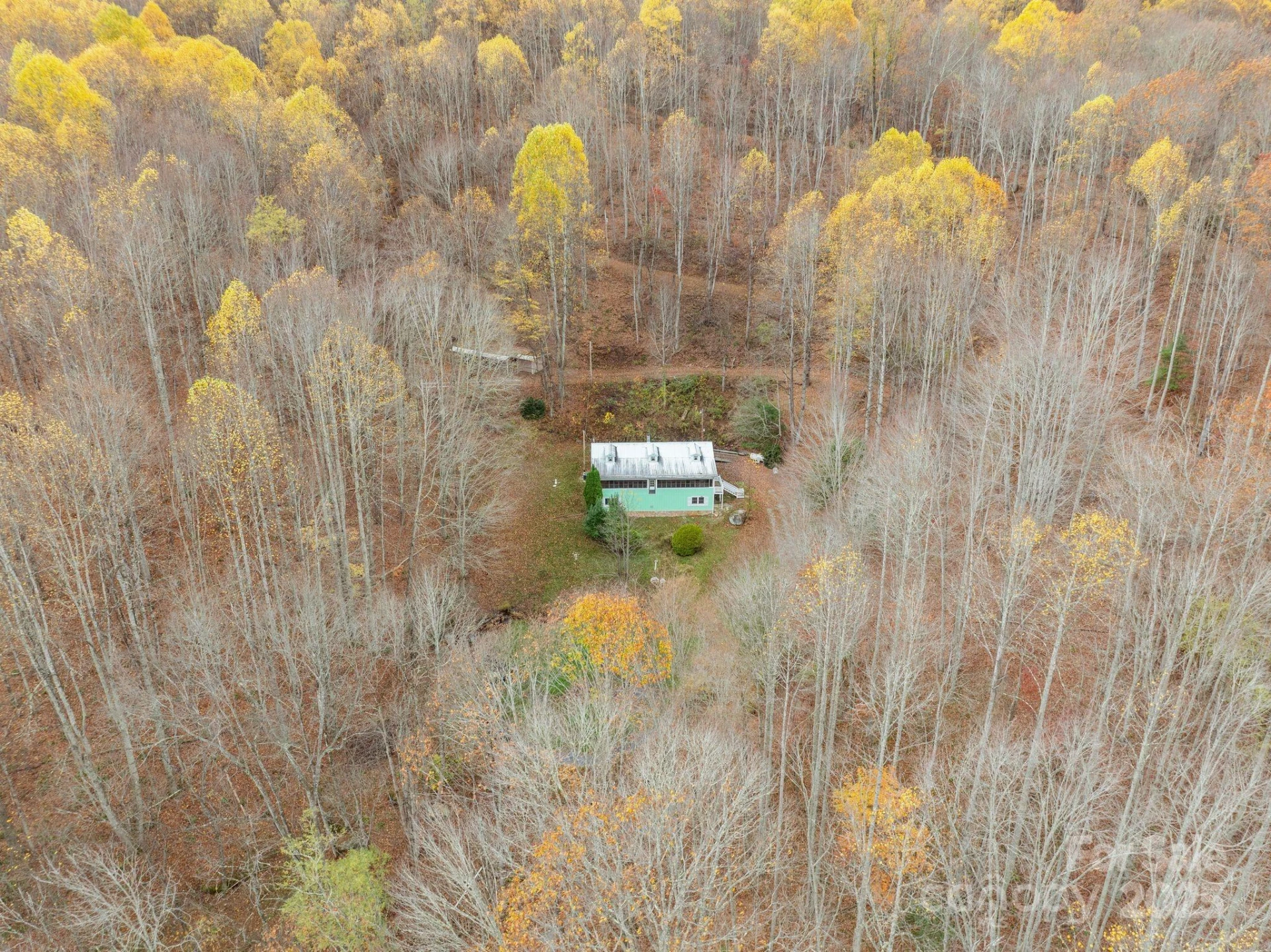 61 Doe Loop