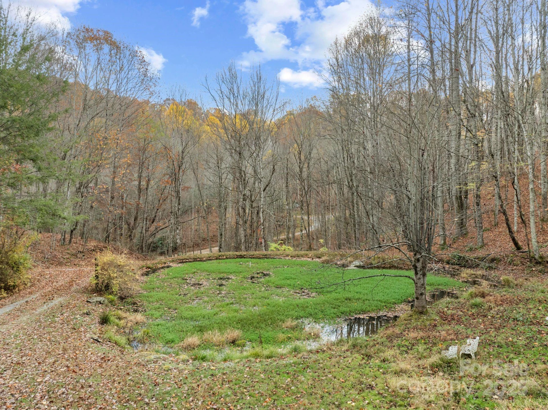 61 Doe Loop - Photo 28