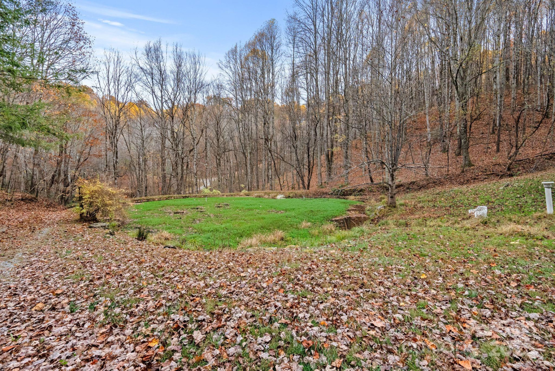 61 Doe Loop - Photo 29