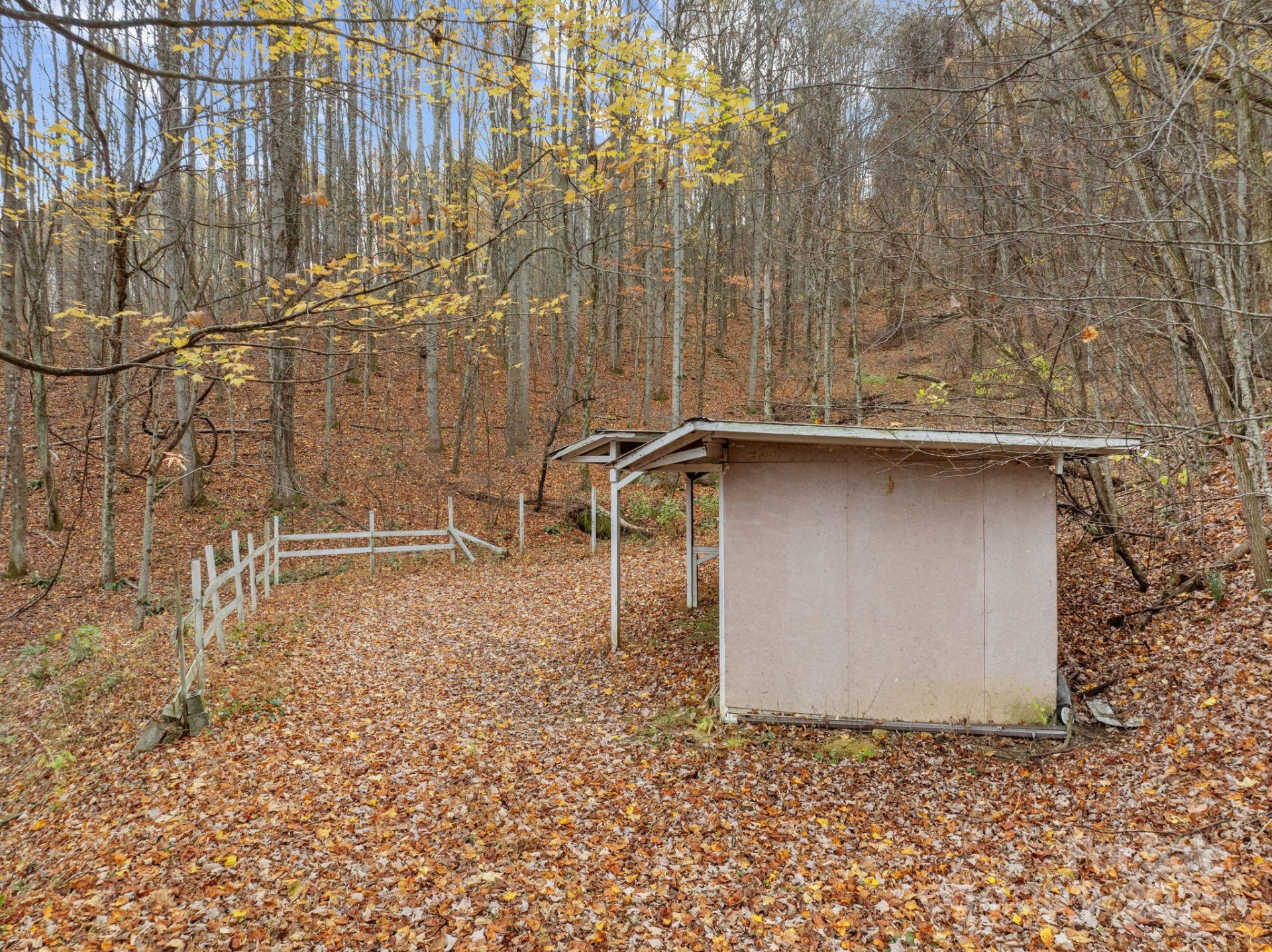 61 Doe Loop - Photo 31