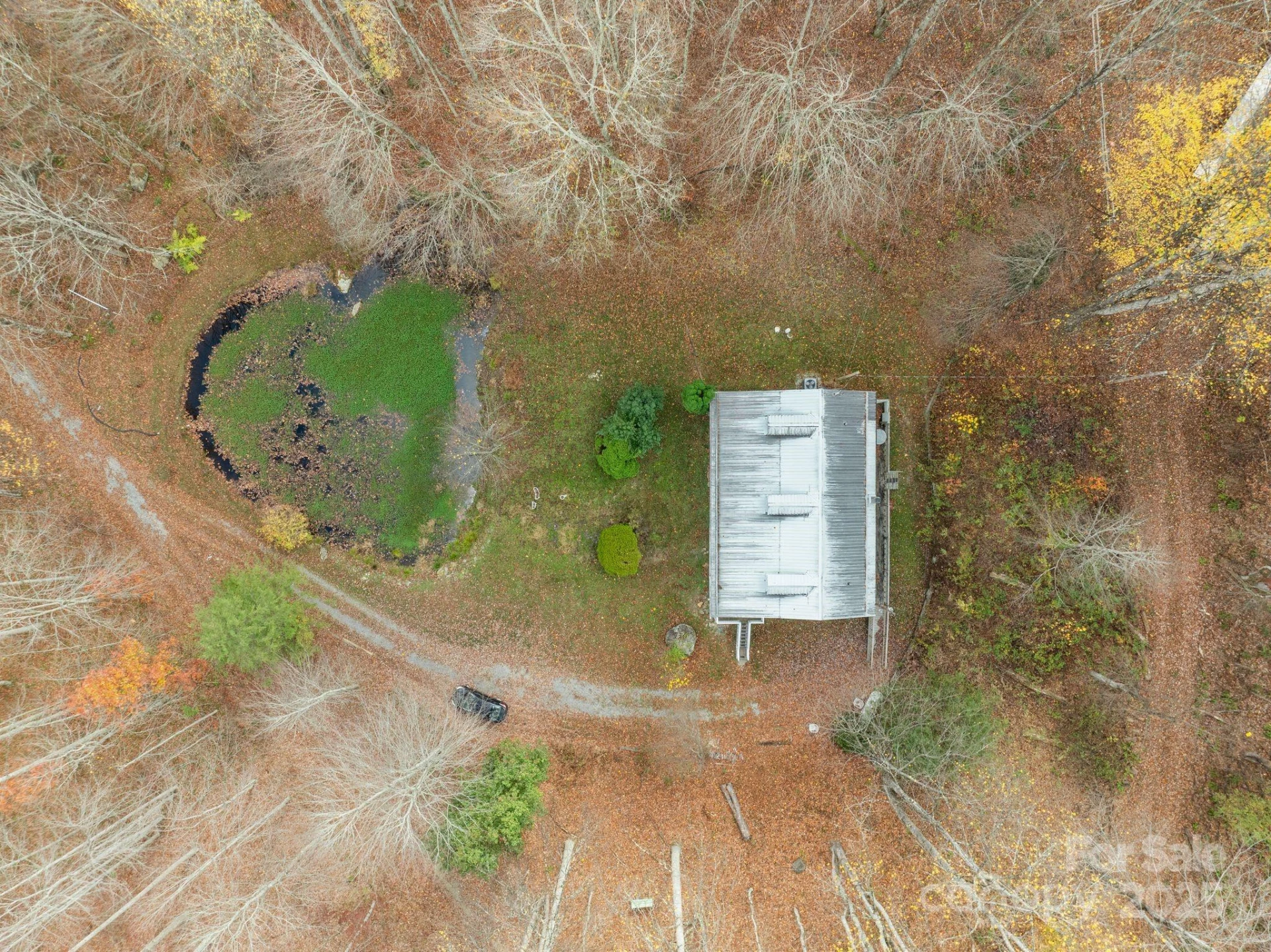 61 Doe Loop - Photo 32