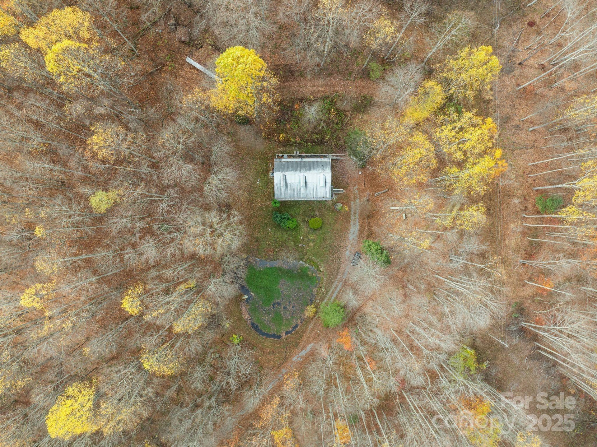 61 Doe Loop - Photo 33