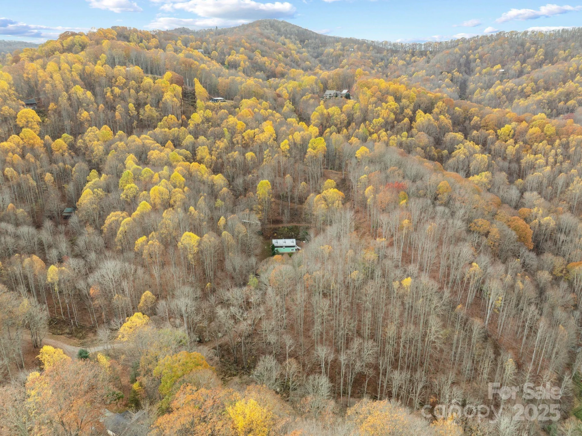61 Doe Loop - Photo 34