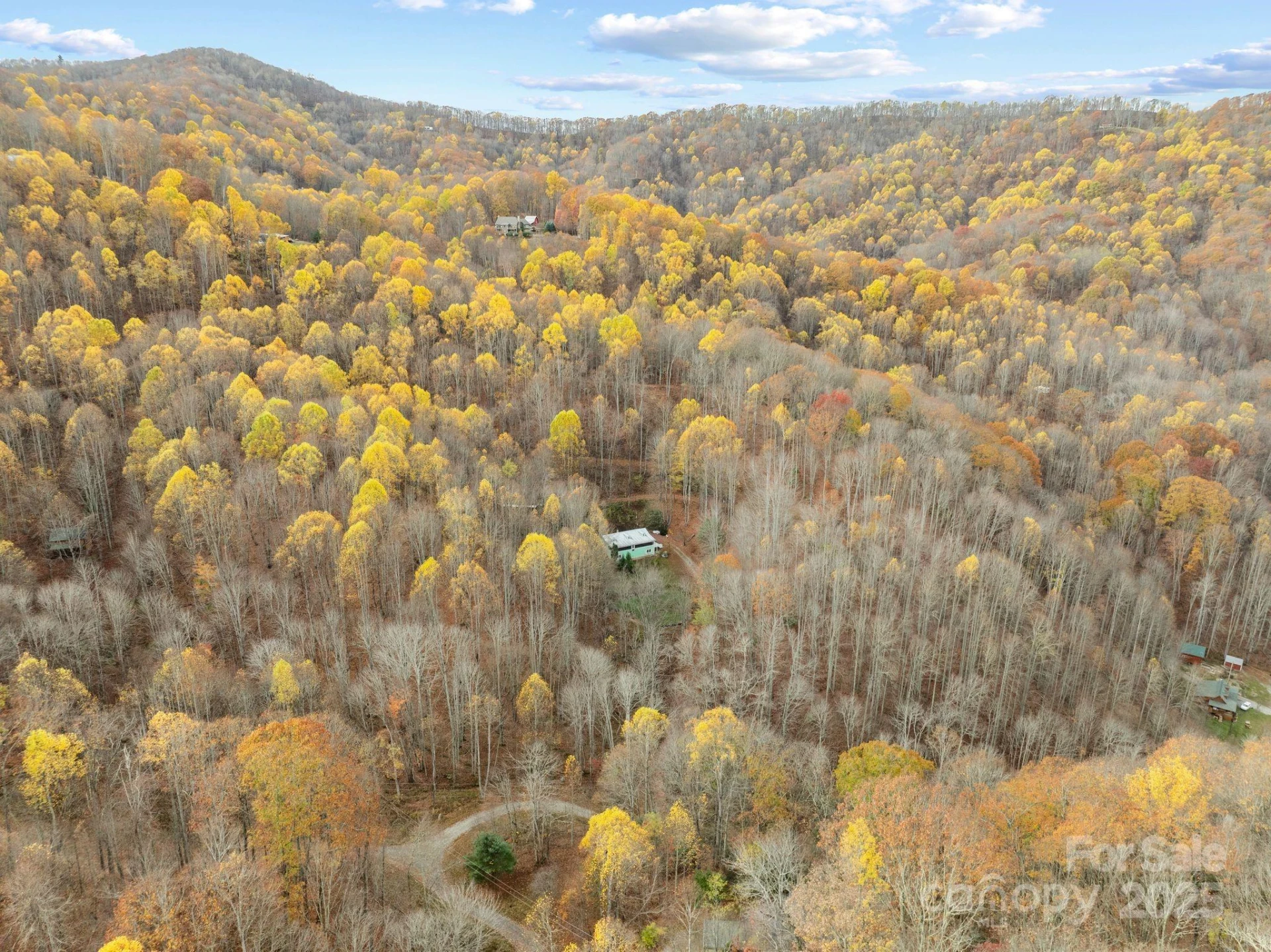 61 Doe Loop - Photo 35