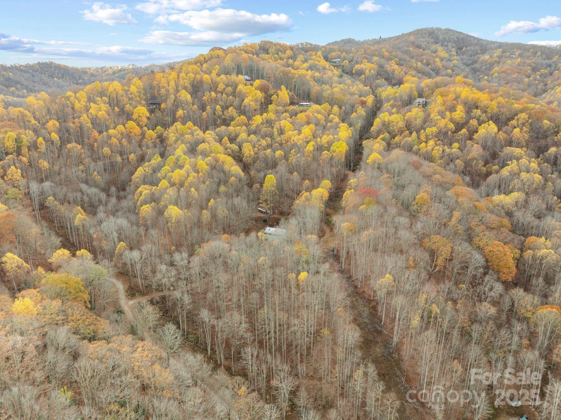 61 Doe Loop - Photo 36