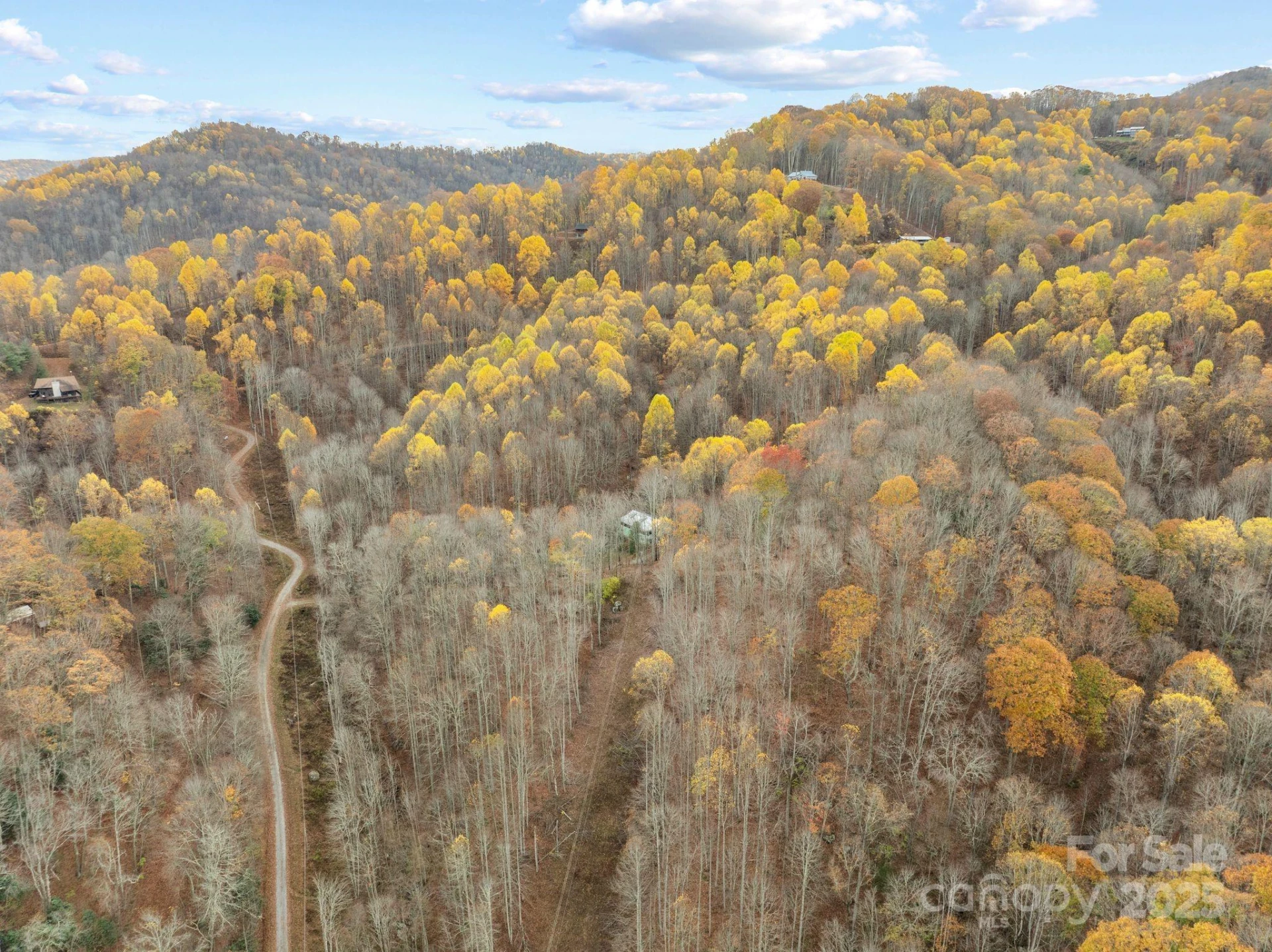61 Doe Loop - Photo 37