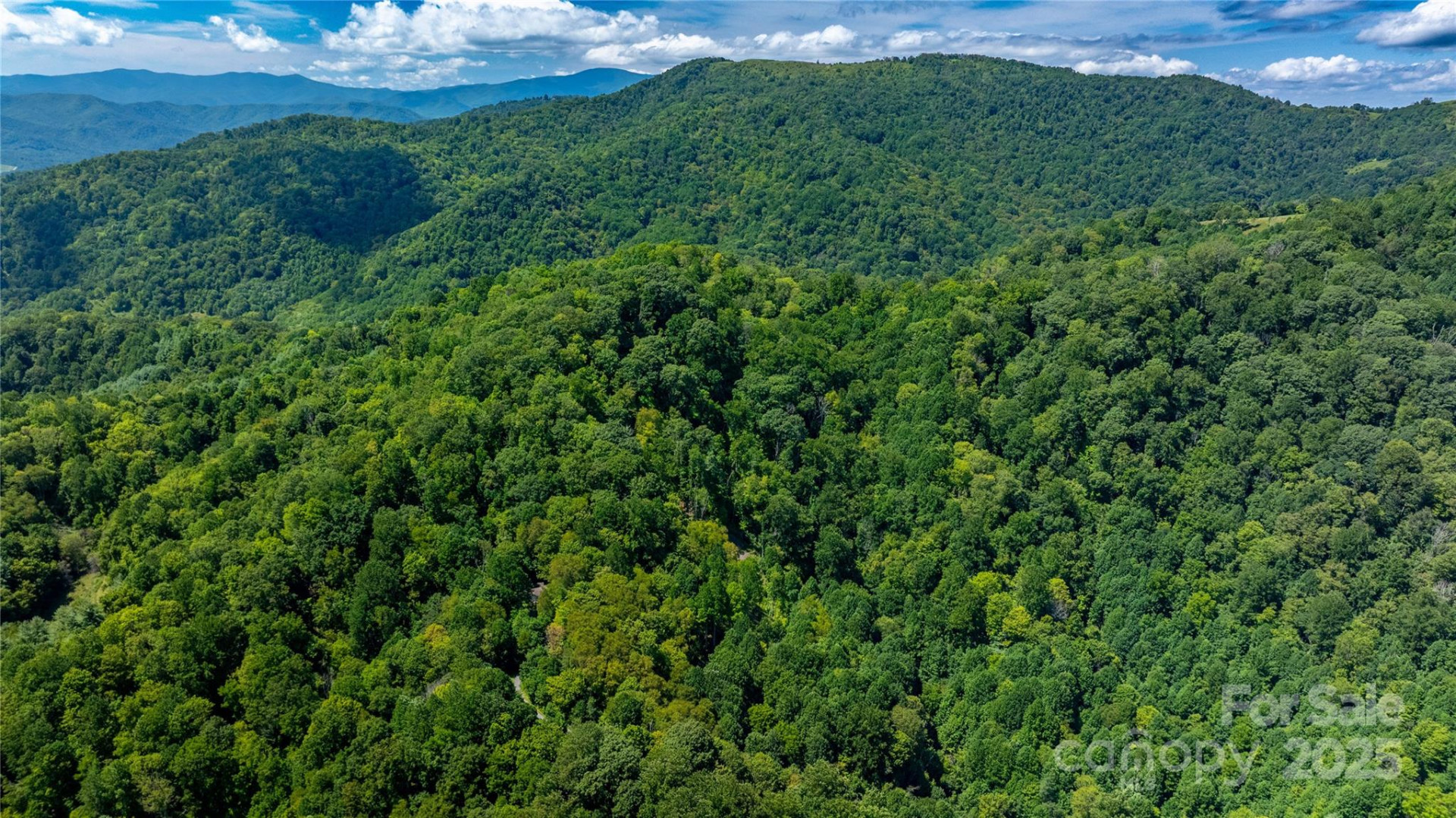 0000 Short Ridge Lane - Photo 2