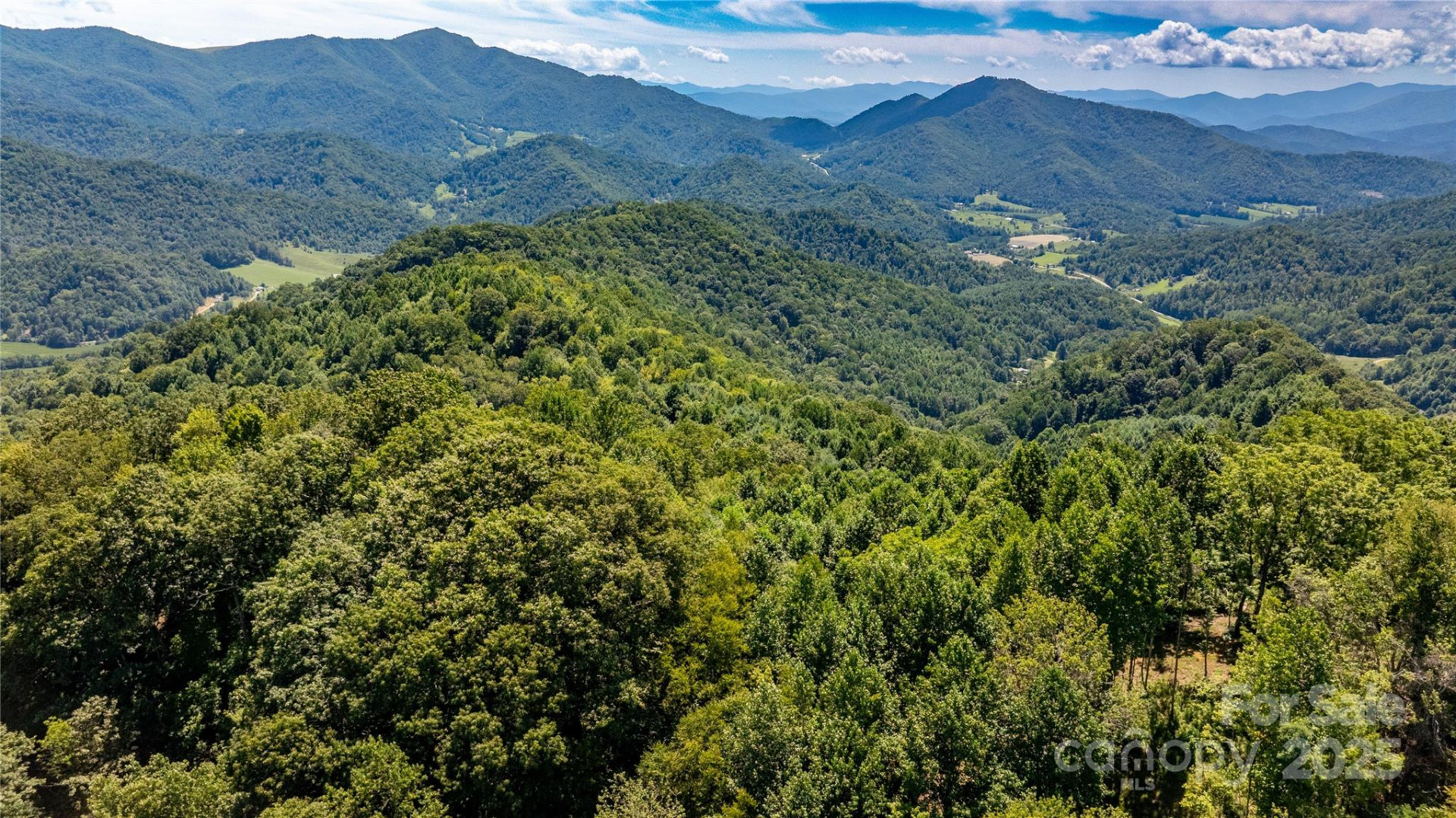 0000 Short Ridge Lane - Photo 13