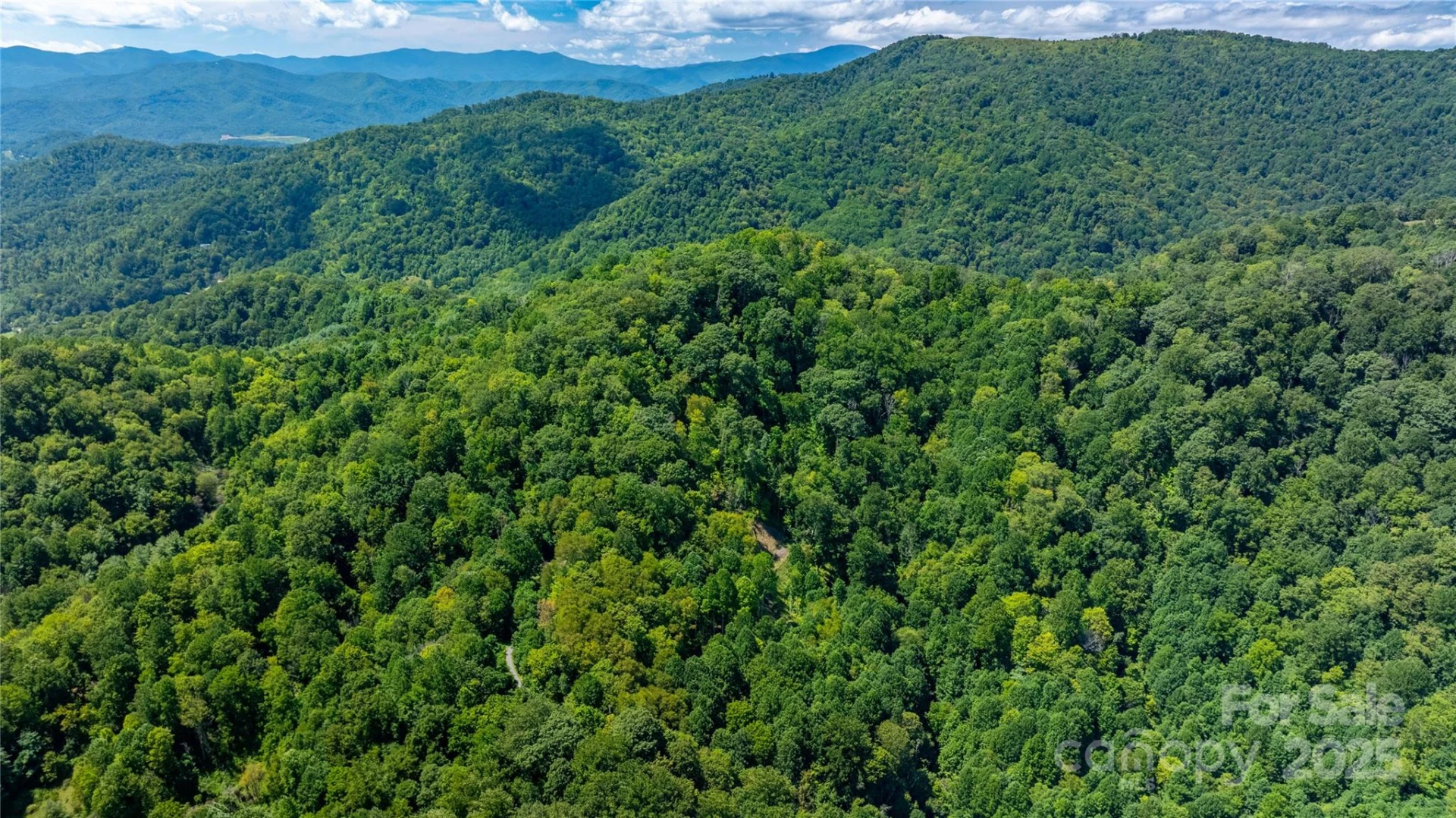 0000 Short Ridge Lane - Photo 3