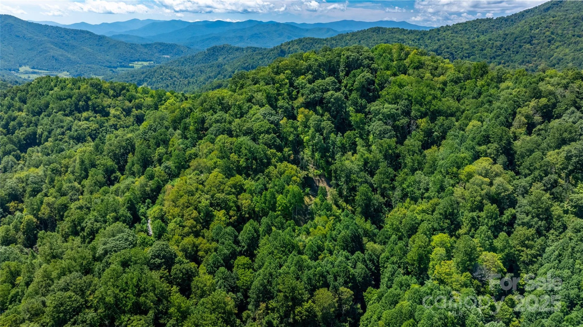 0000 Short Ridge Lane - Photo 4