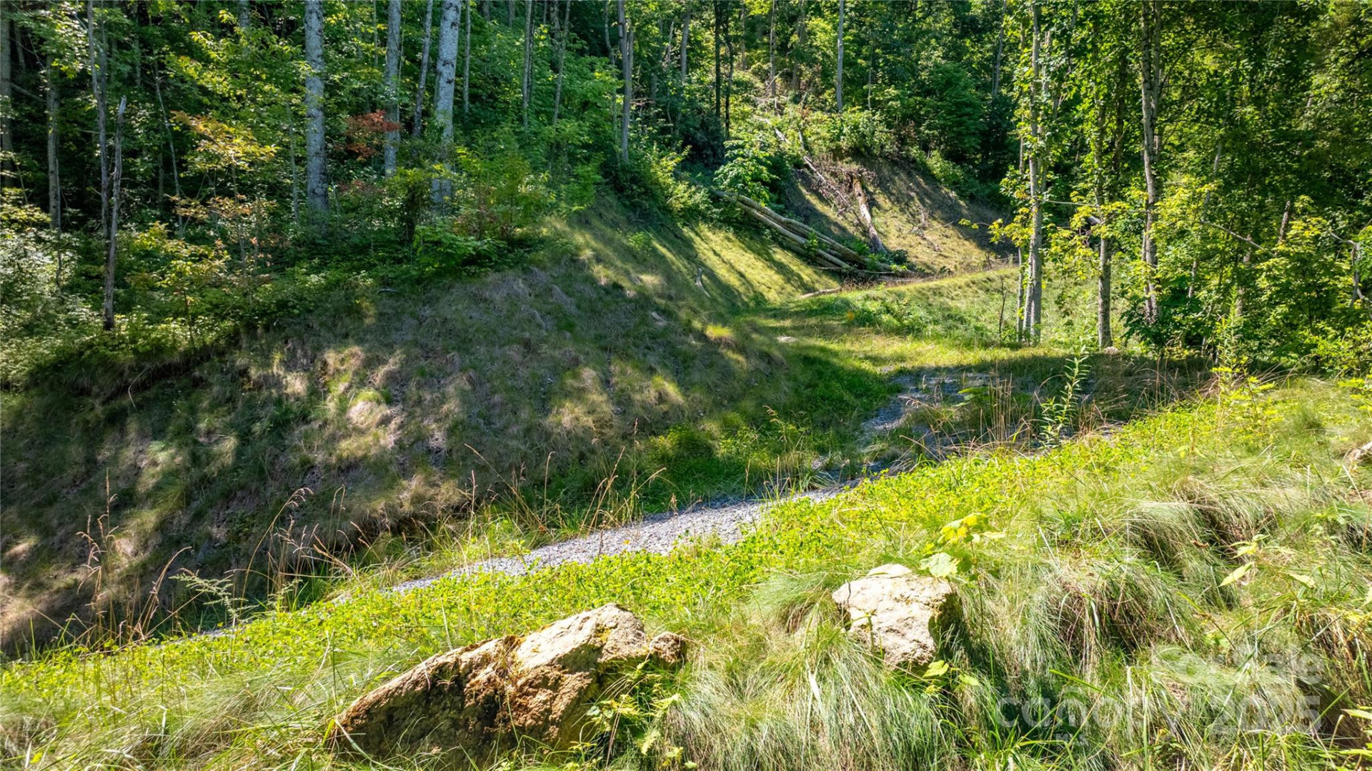 0000 Short Ridge Lane - Photo 6