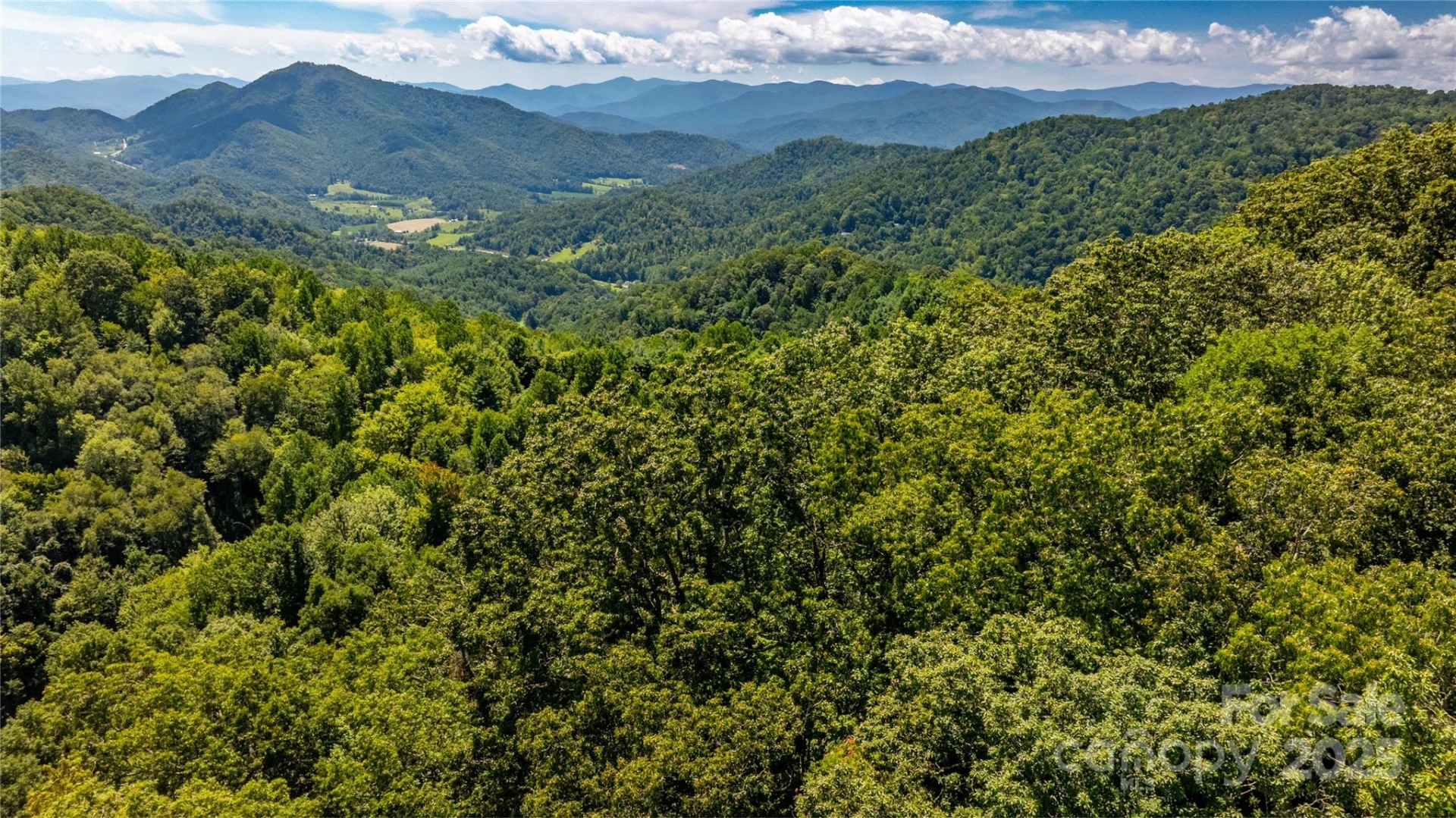0000 Short Ridge Lane - Photo 10