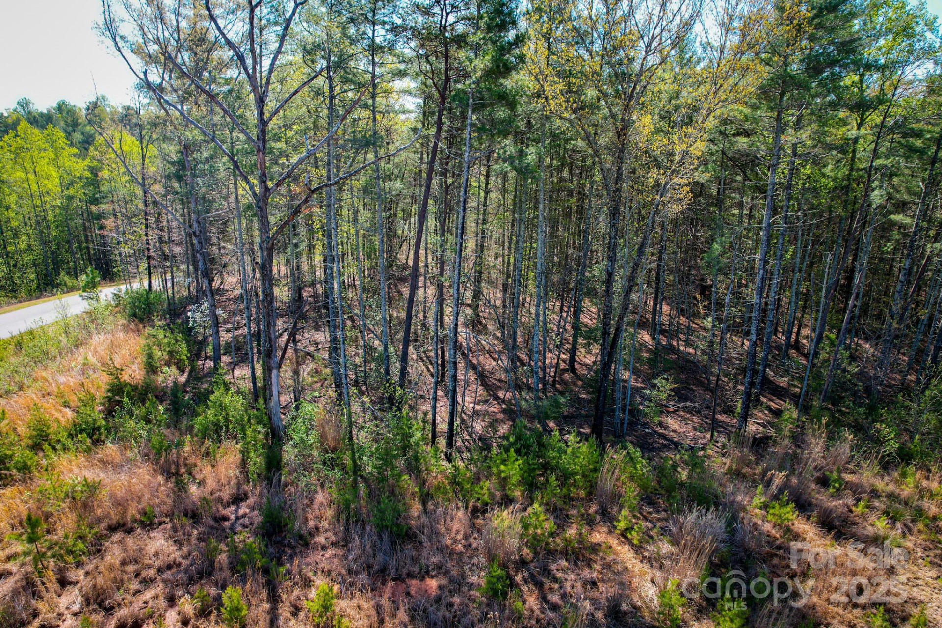 2033 Starlight Lane #111 - Photo 12