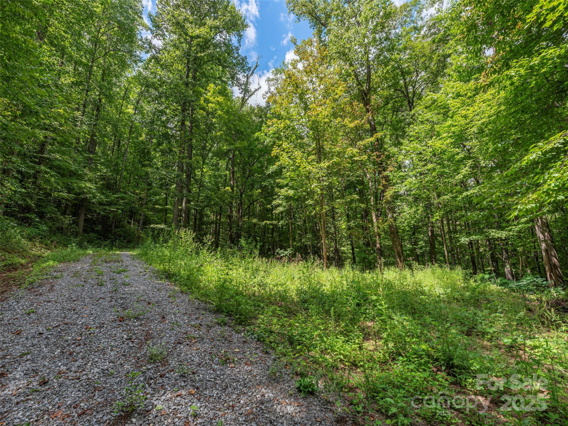 000 Flowing Brook Lane #6 - Photo 2