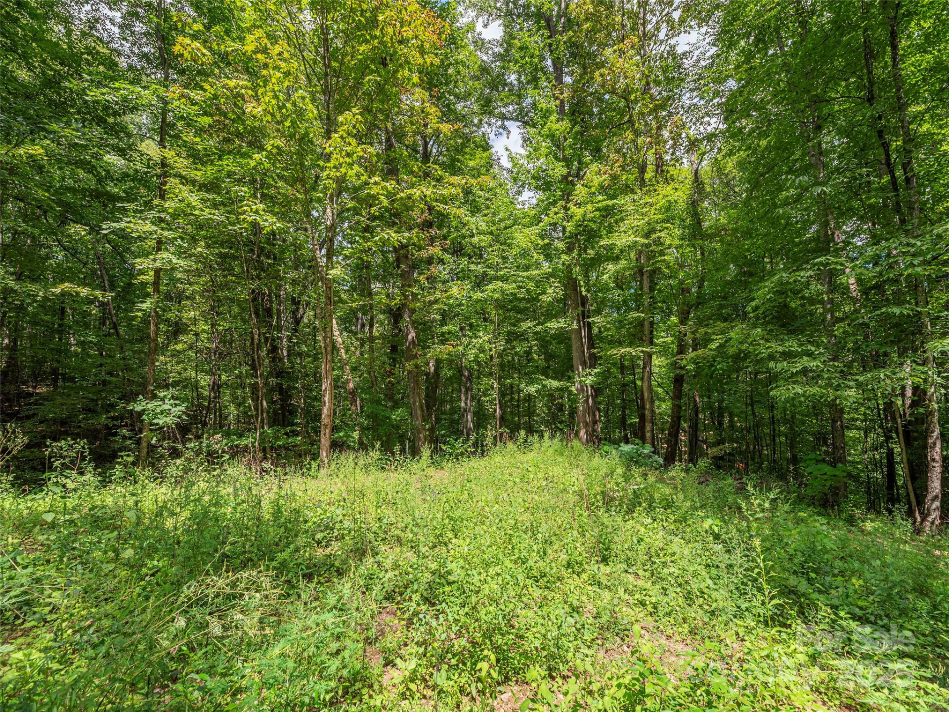 000 Flowing Brook Lane #6 - Photo 3