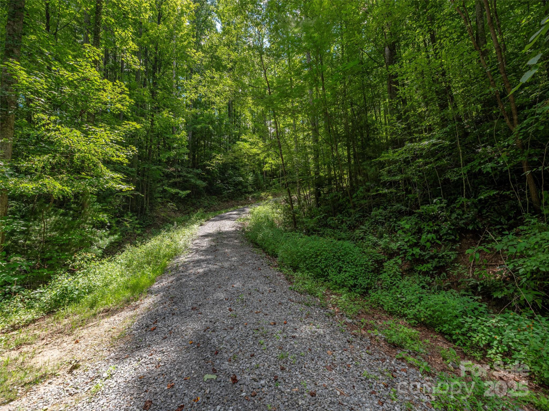 000 Flowing Brook Lane #6 - Photo 4
