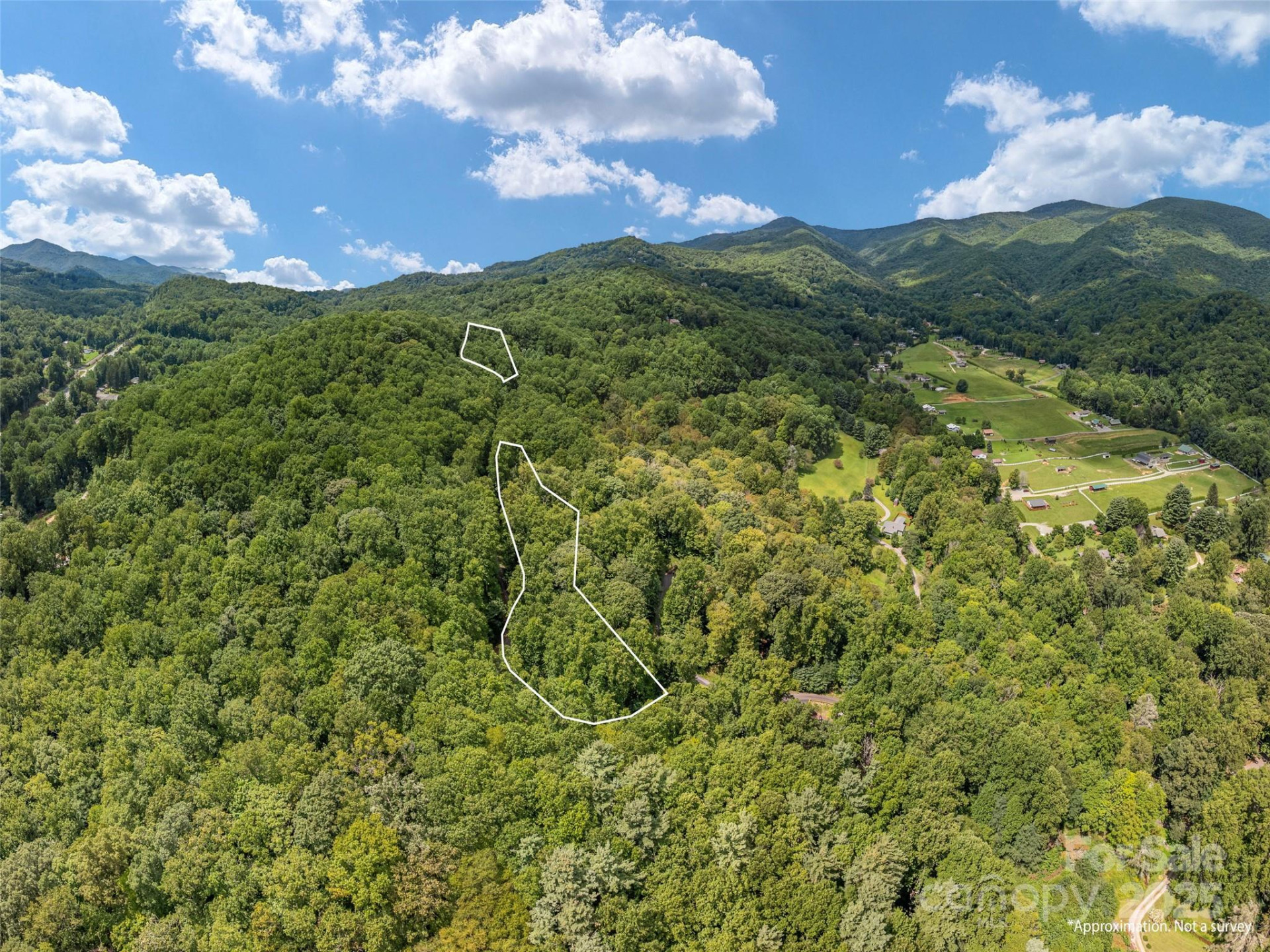 000 Flowing Brook Lane #6 - Photo 8
