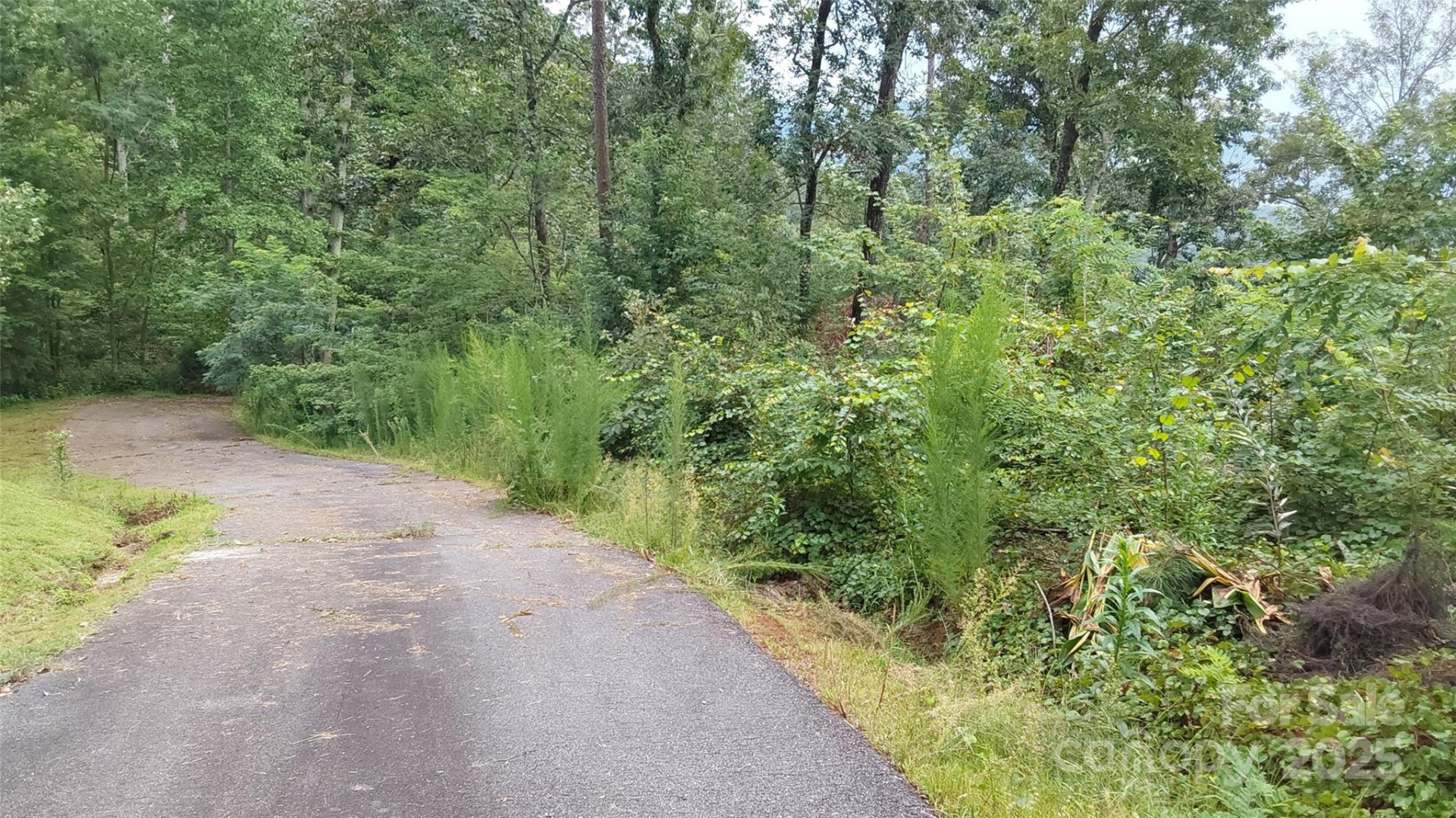 0 Brighton Drive - Photo 2