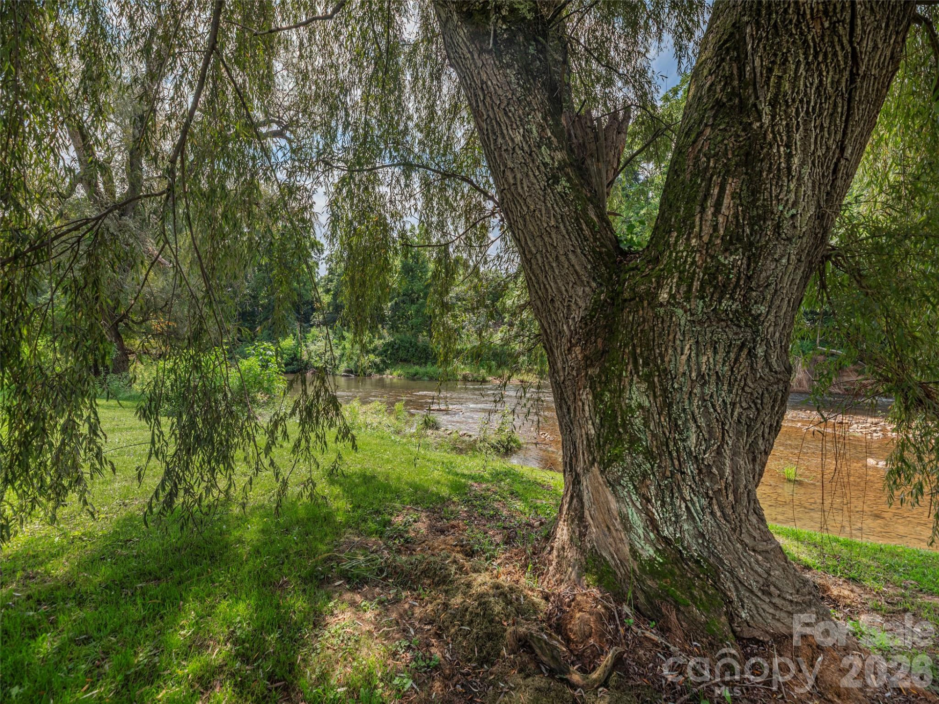 248 Max Thompson Road - Photo 35