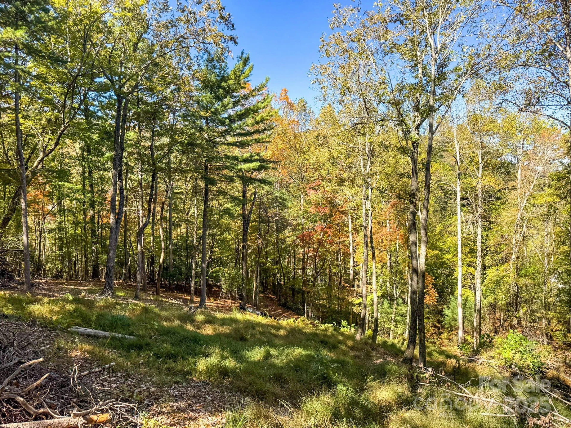212 Judson Ridge Road