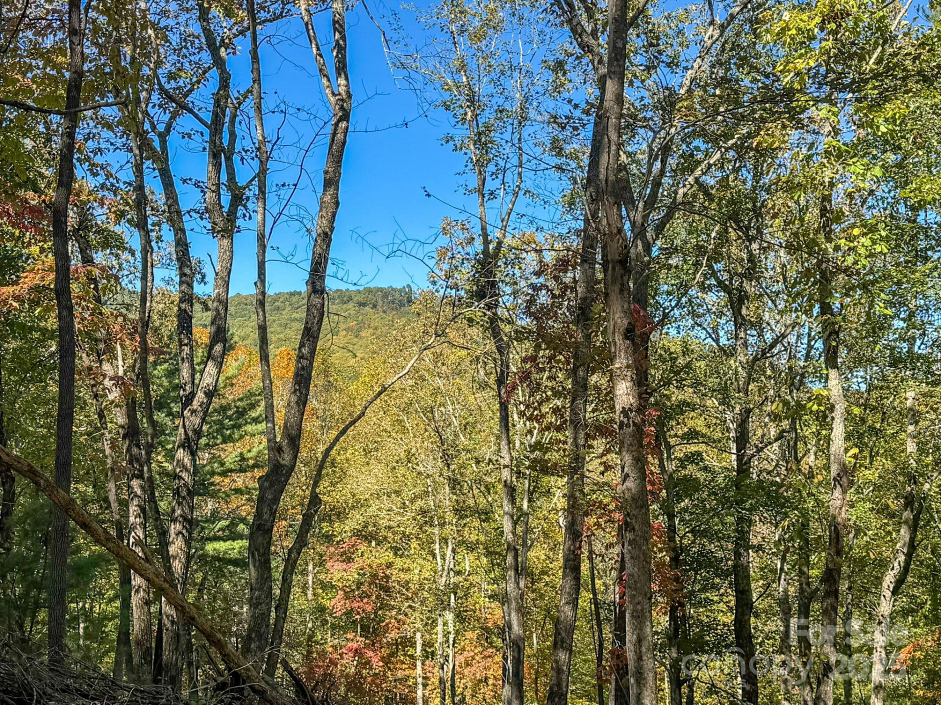 212 Judson Ridge Road - Photo 13