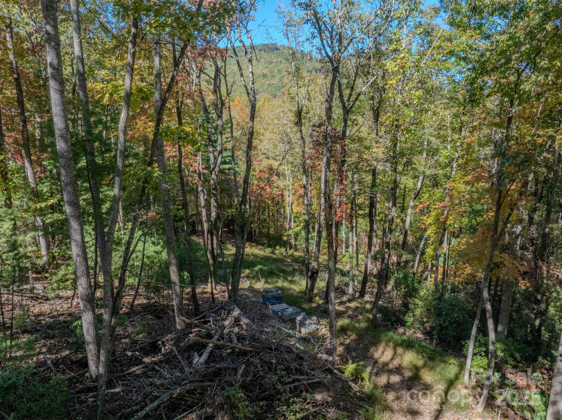 212 Judson Ridge Road - Photo 14