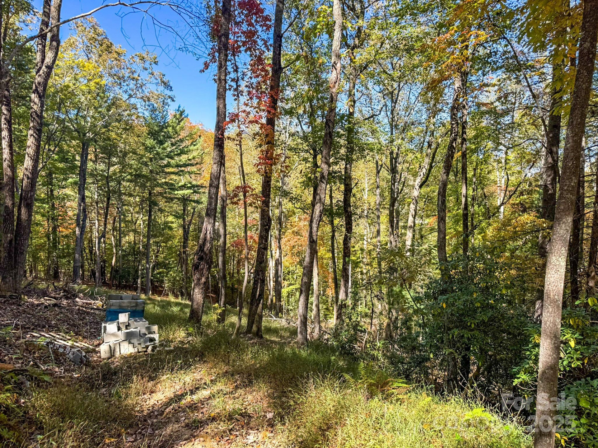 212 Judson Ridge Road - Photo 15