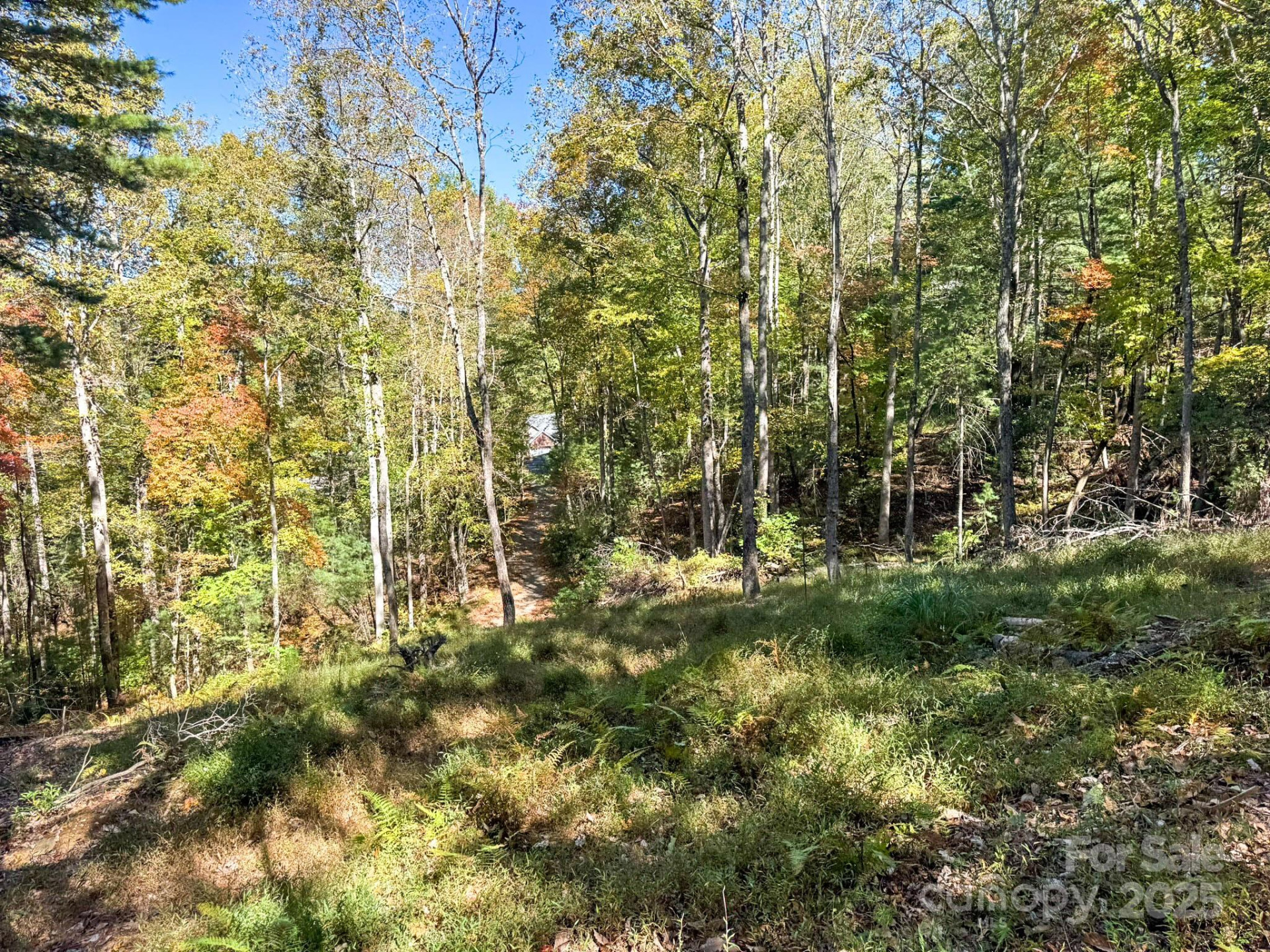 212 Judson Ridge Road - Photo 16