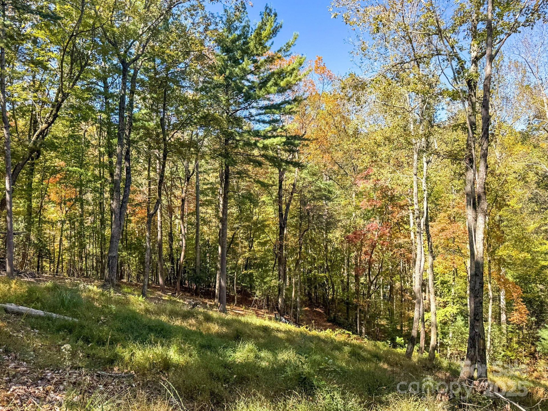 212 Judson Ridge Road - Photo 17