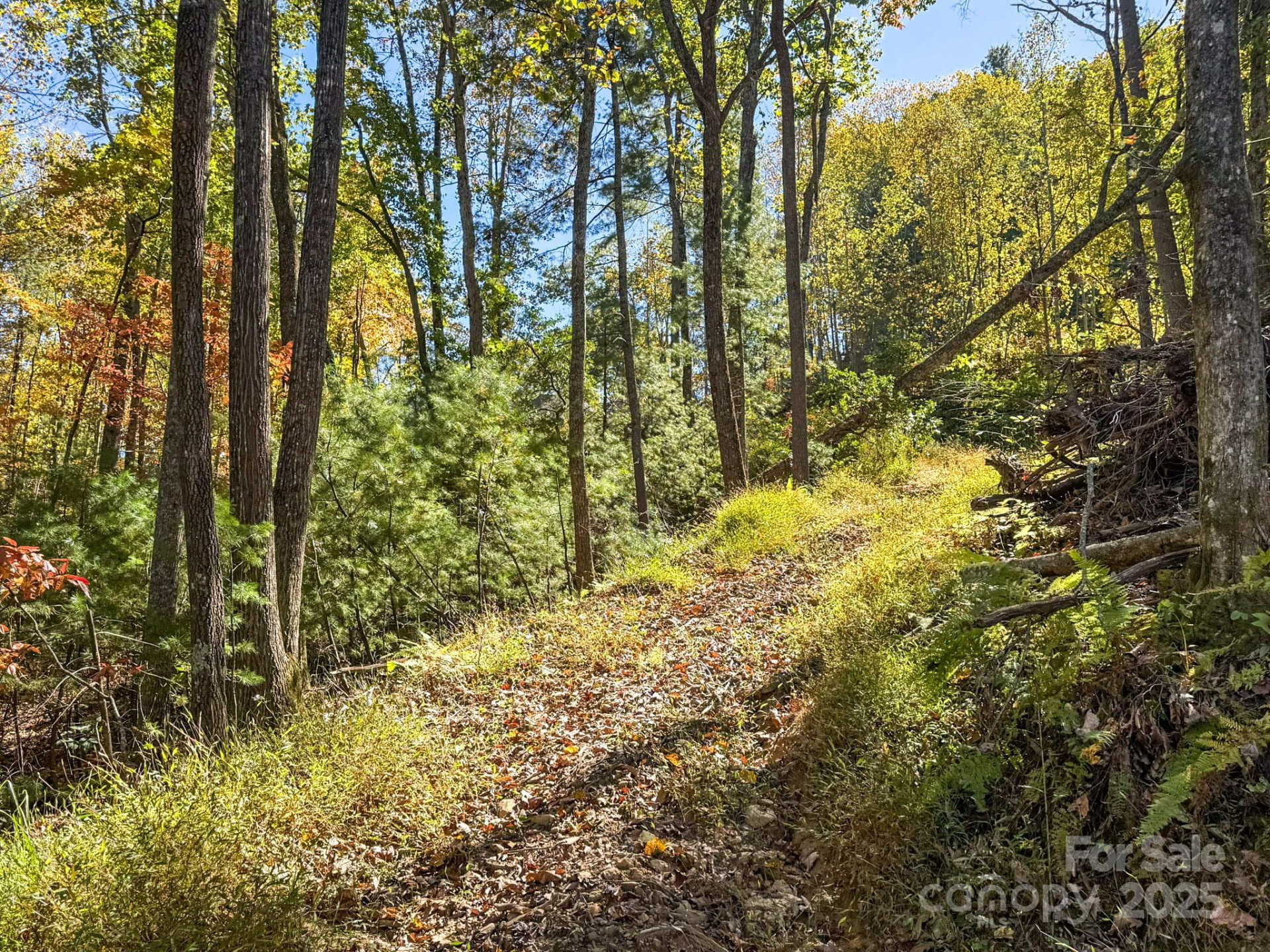 212 Judson Ridge Road - Photo 18