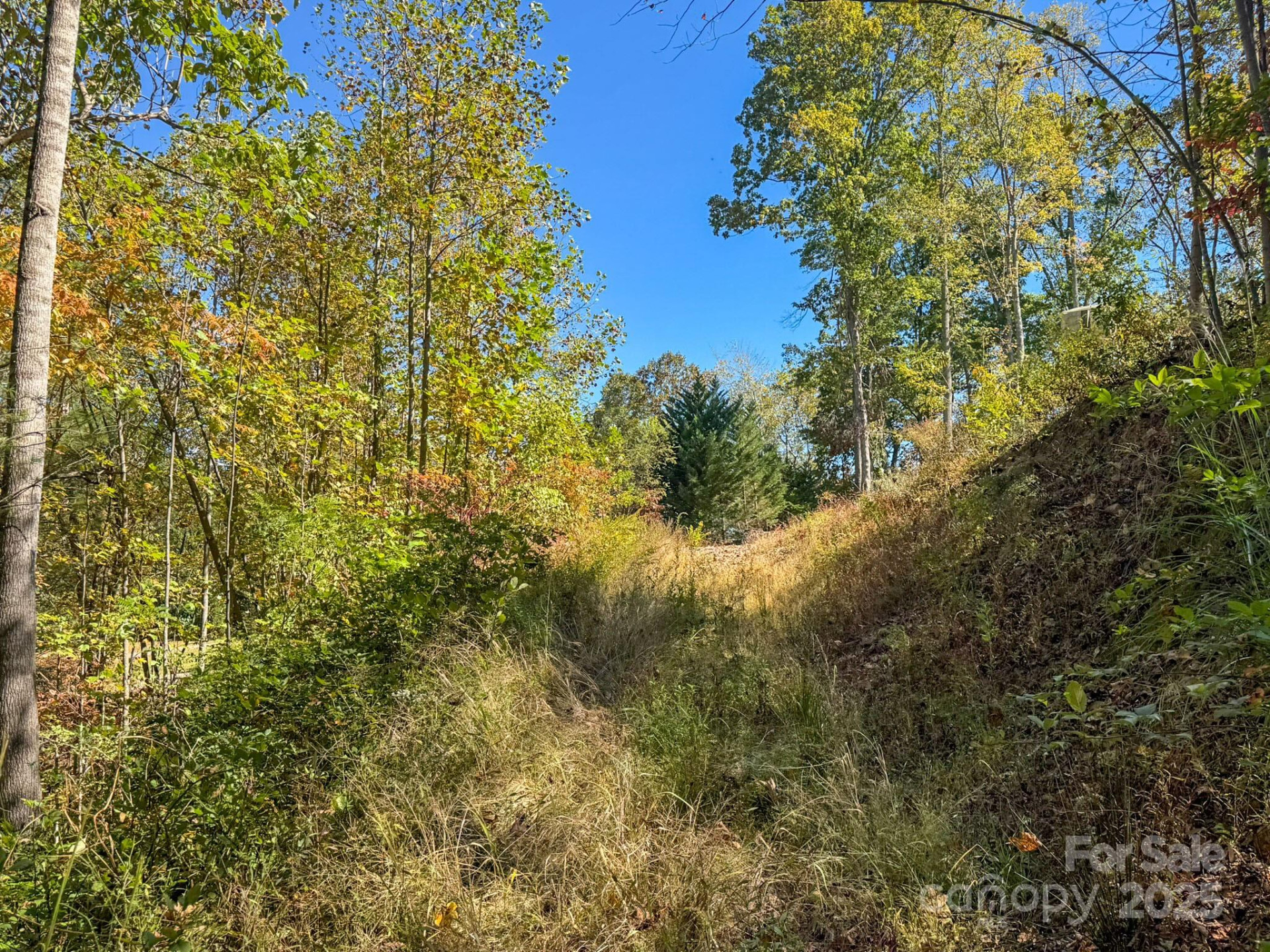 212 Judson Ridge Road - Photo 19