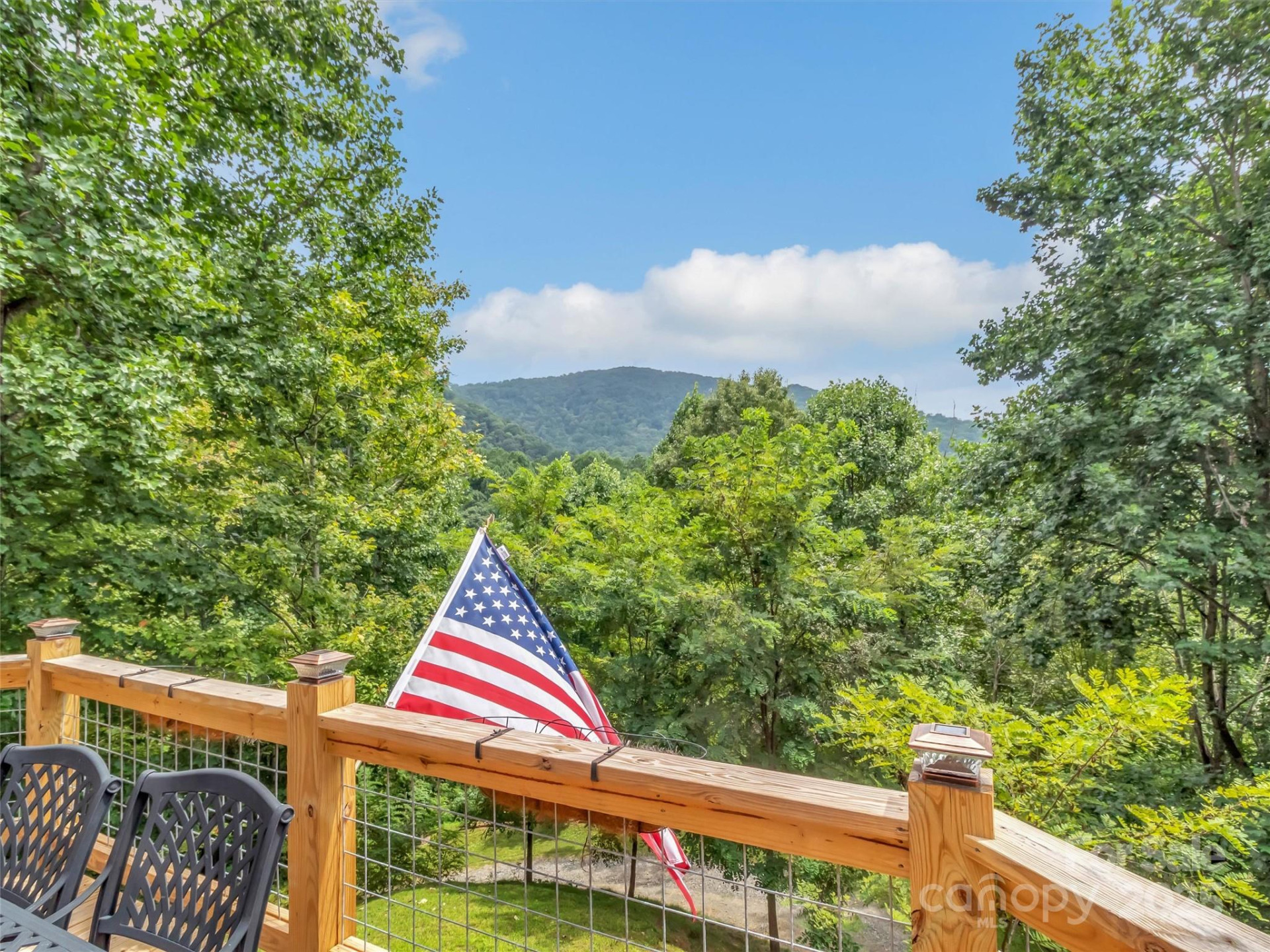 4823 Max Patch Road - Photo 26