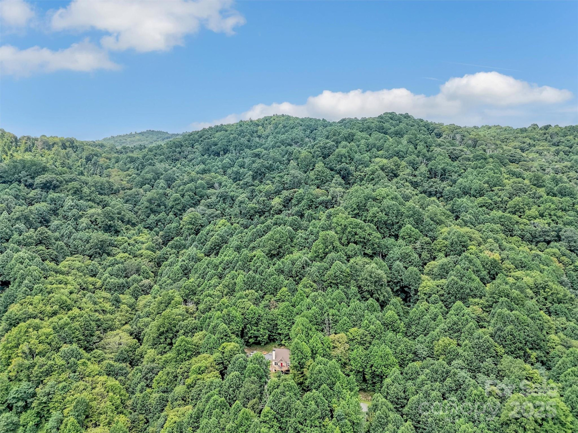 4823 Max Patch Road - Photo 41