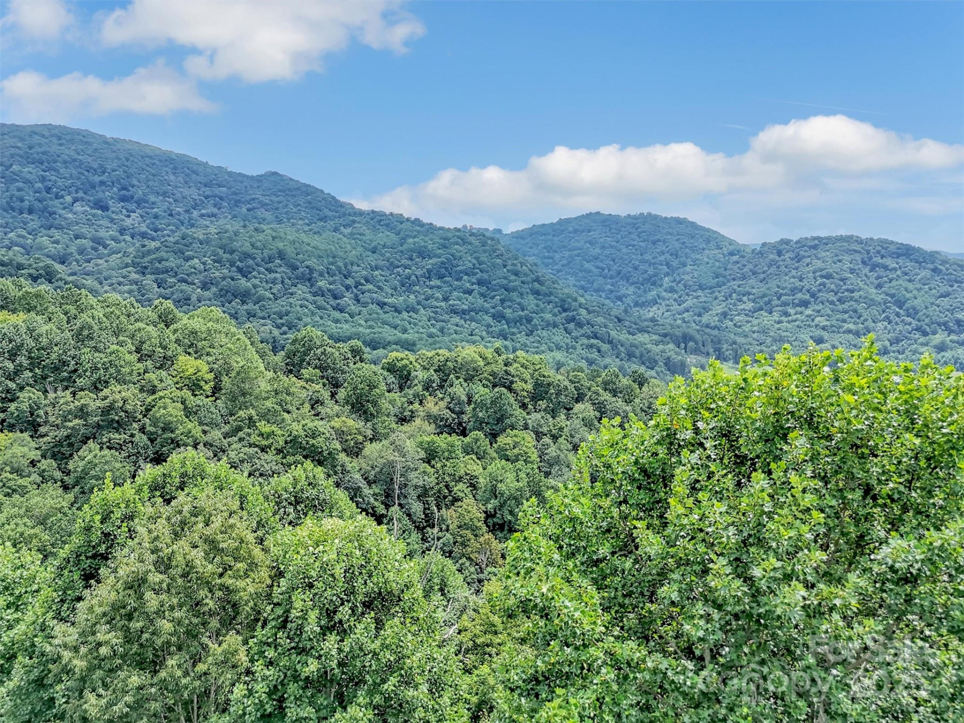 4823 Max Patch Road - Photo 46