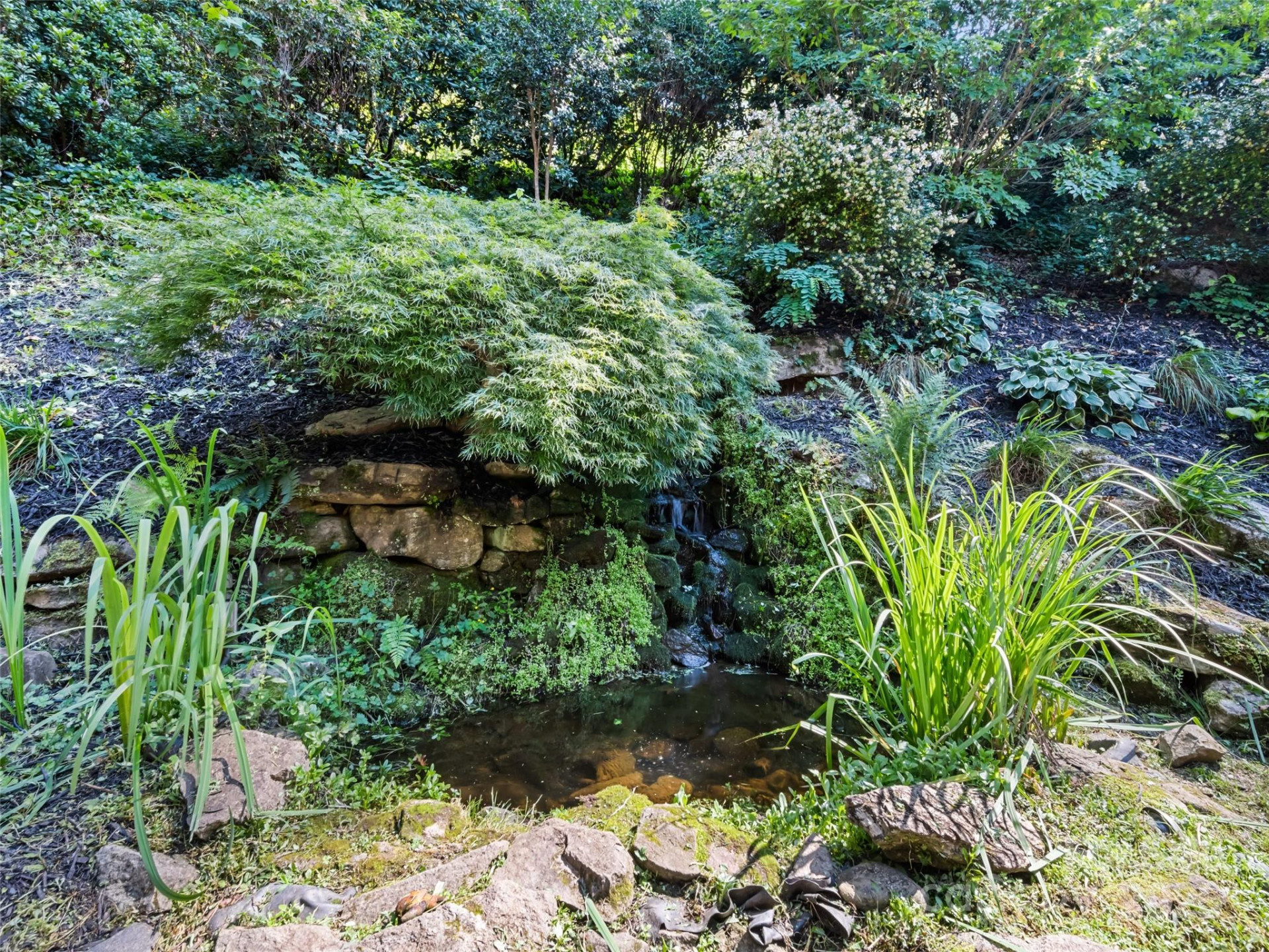 40 Panda Trail - Photo 11