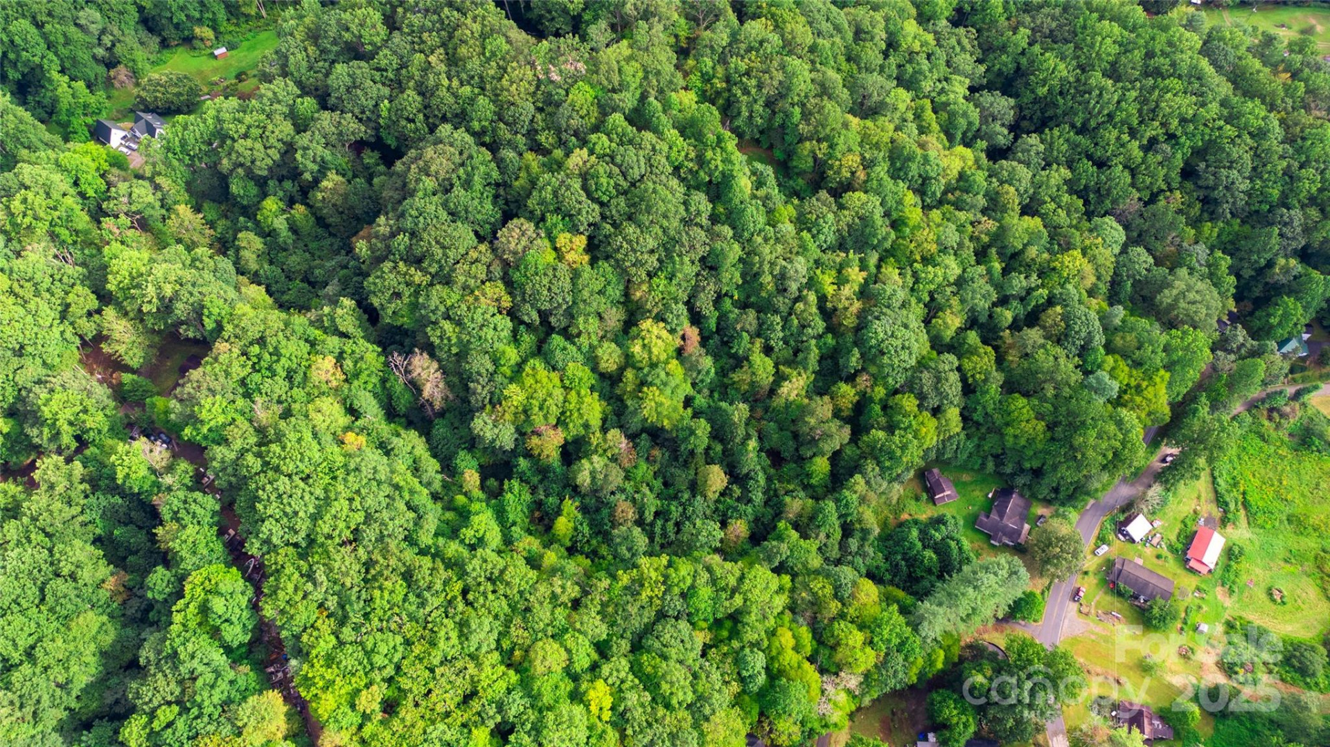 0000 Cabin Flats Road - Photo 3