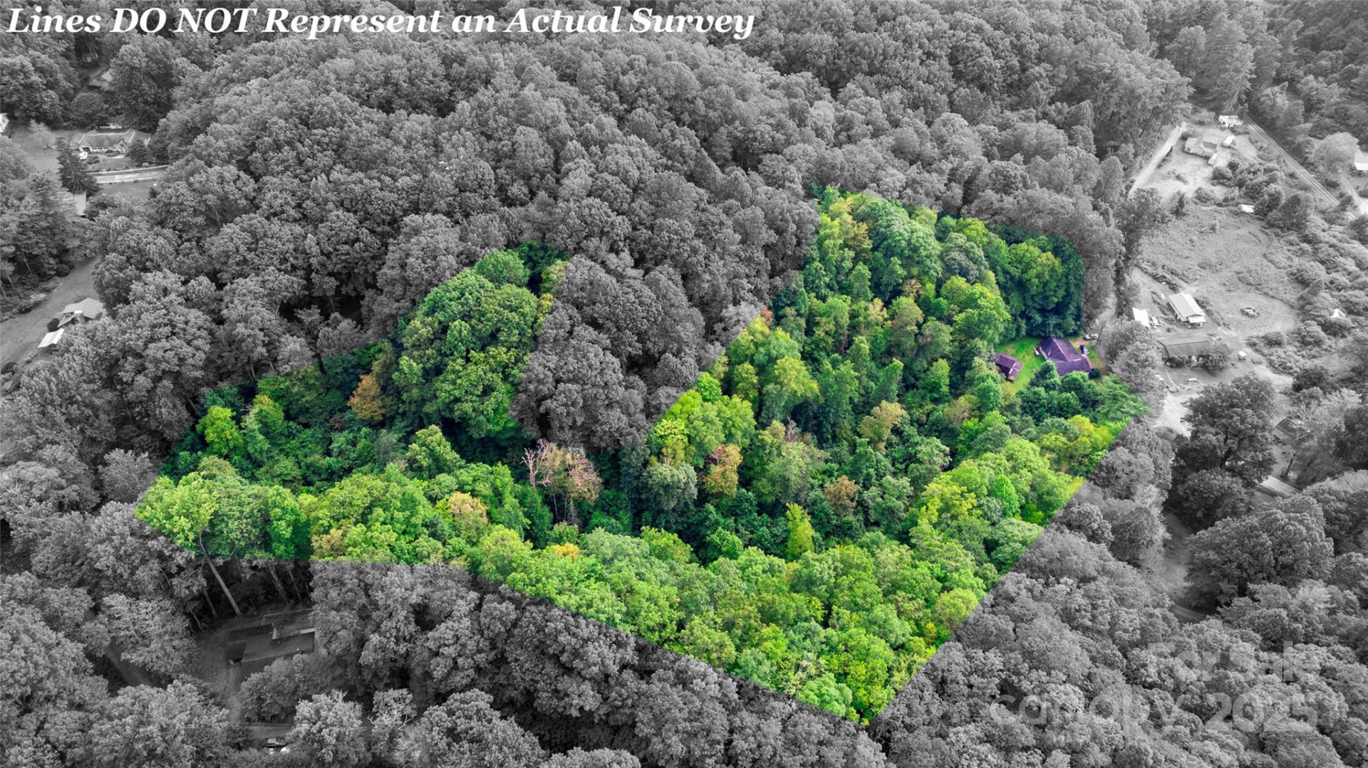 0000 Cabin Flats Road - Photo 7