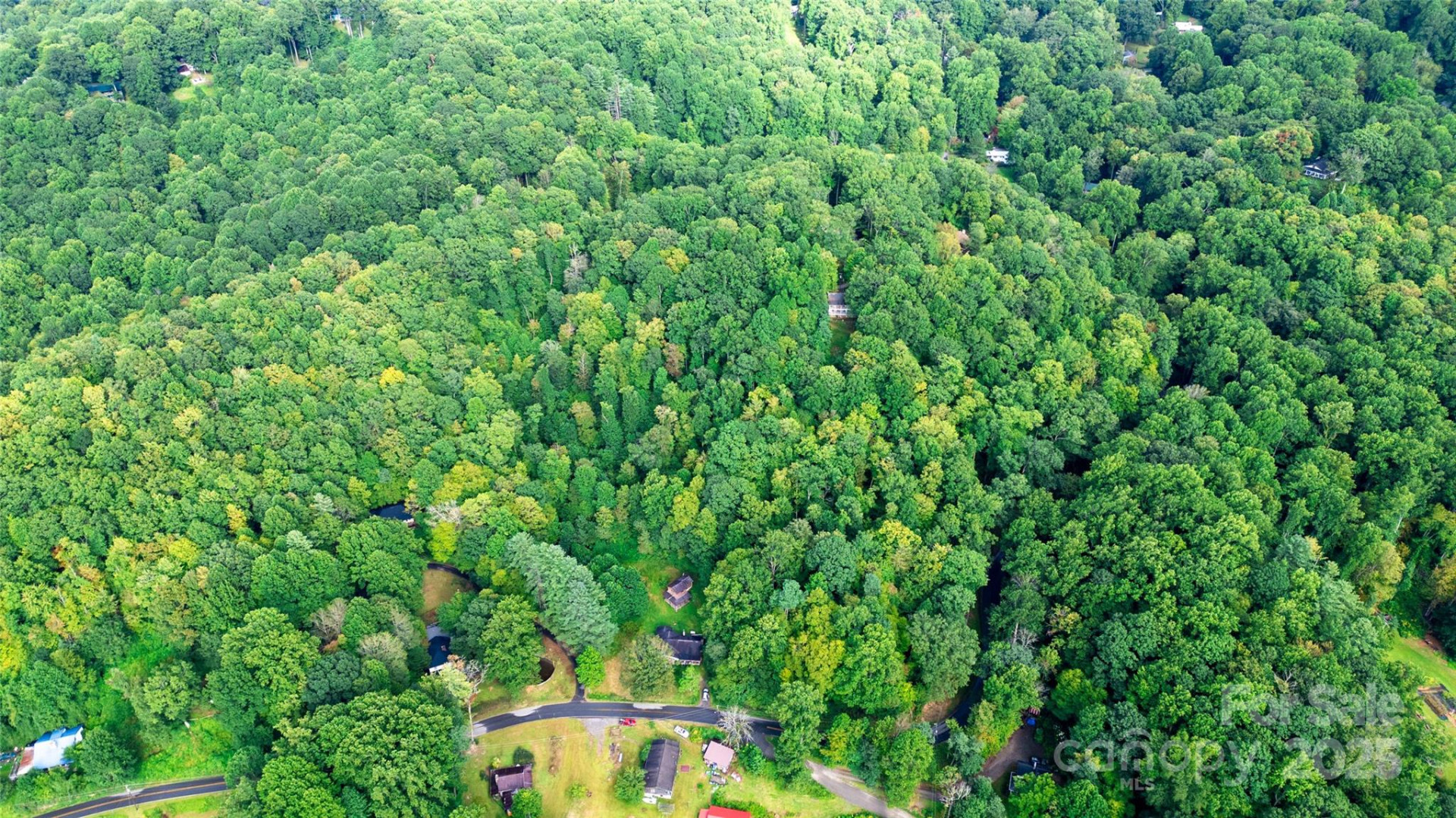 0000 Cabin Flats Road - Photo 8