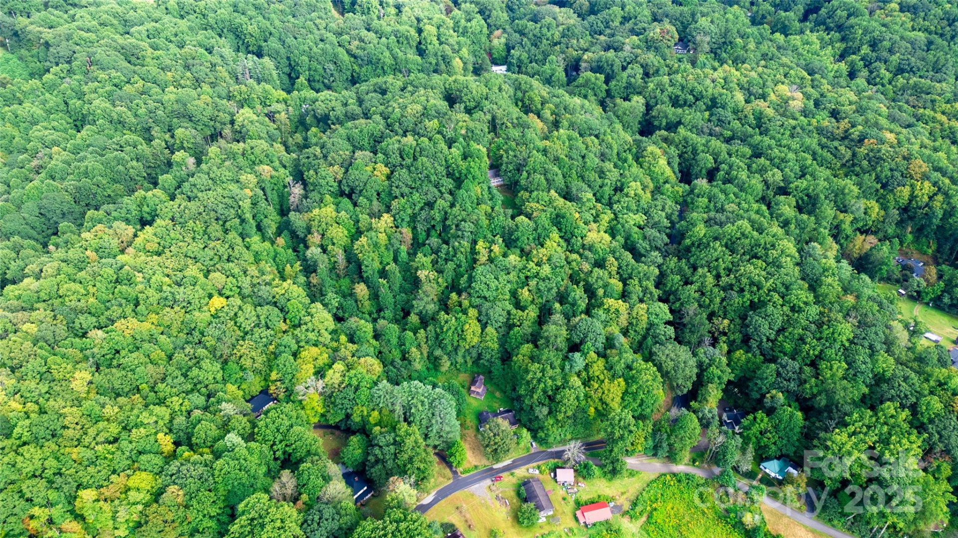 0000 Cabin Flats Road - Photo 9