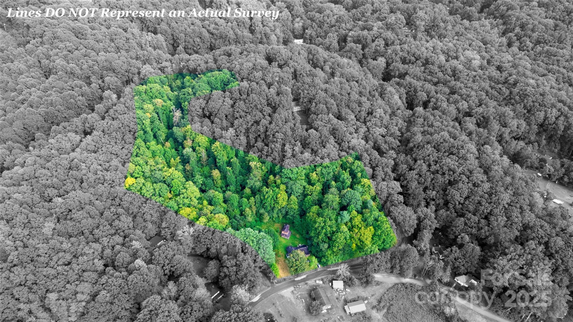 0000 Cabin Flats Road - Photo 10