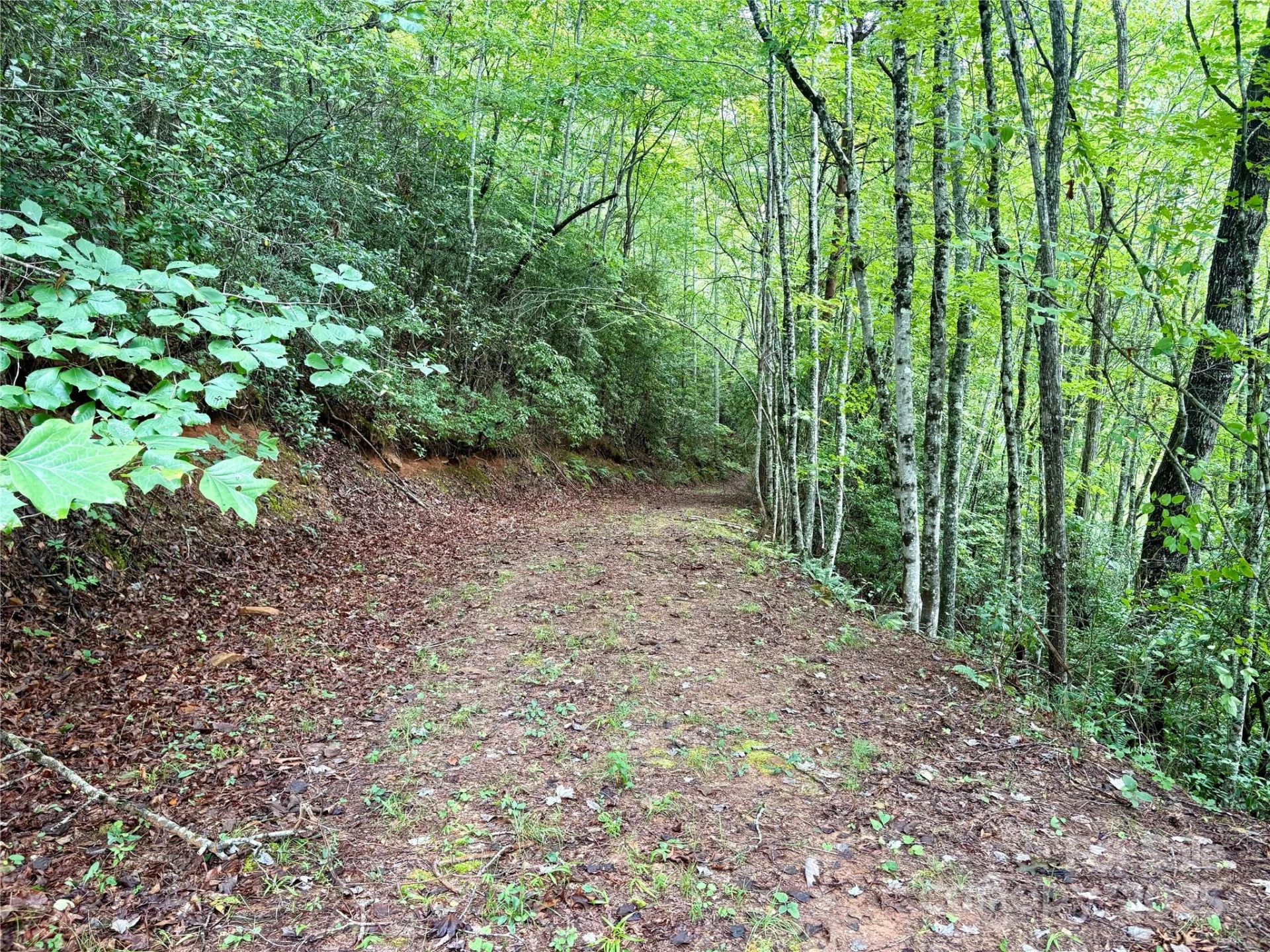 0 Chickadee Drive #51 - Photo 5