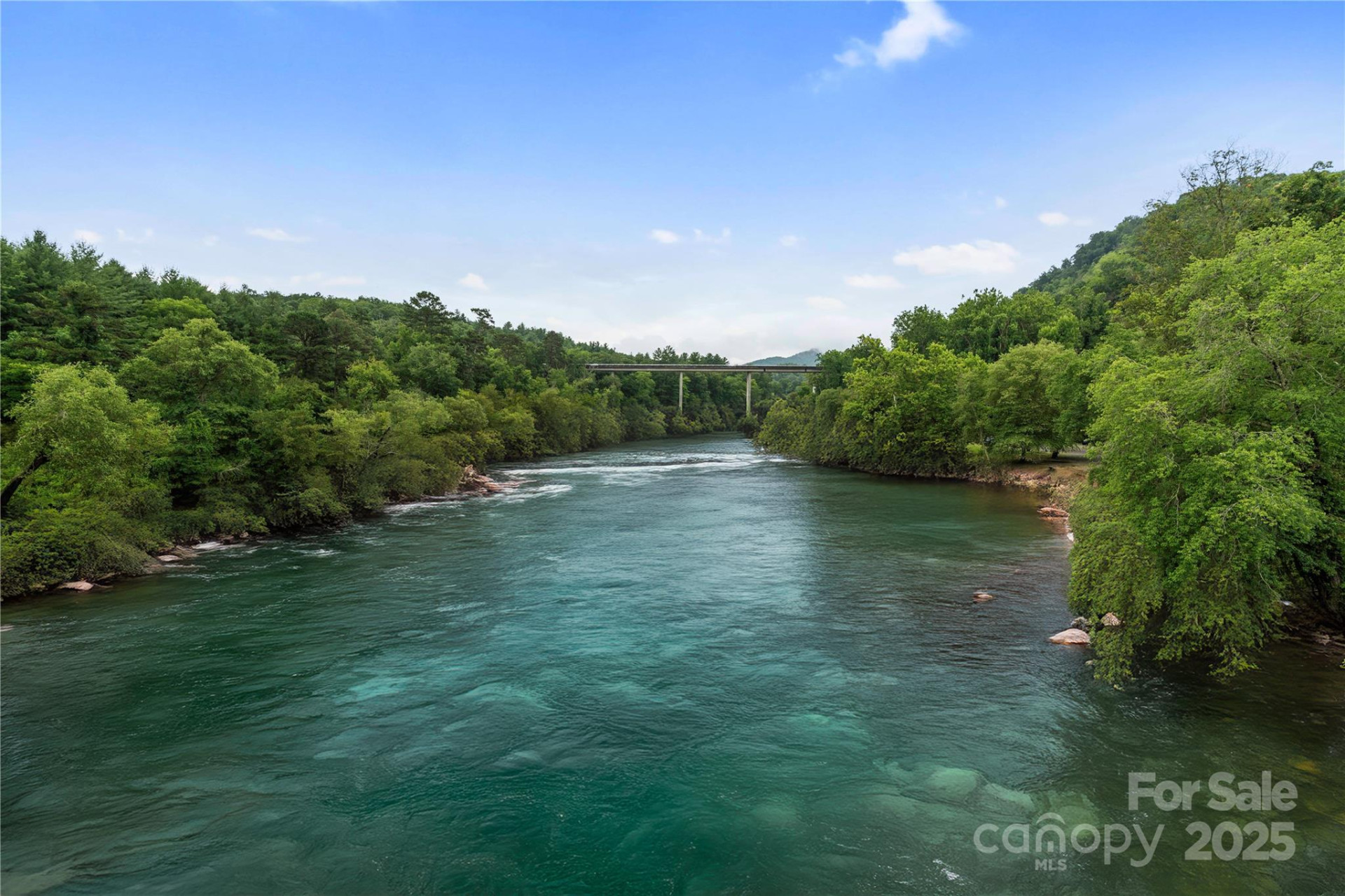 10 Heartleaf Circle - Photo 43