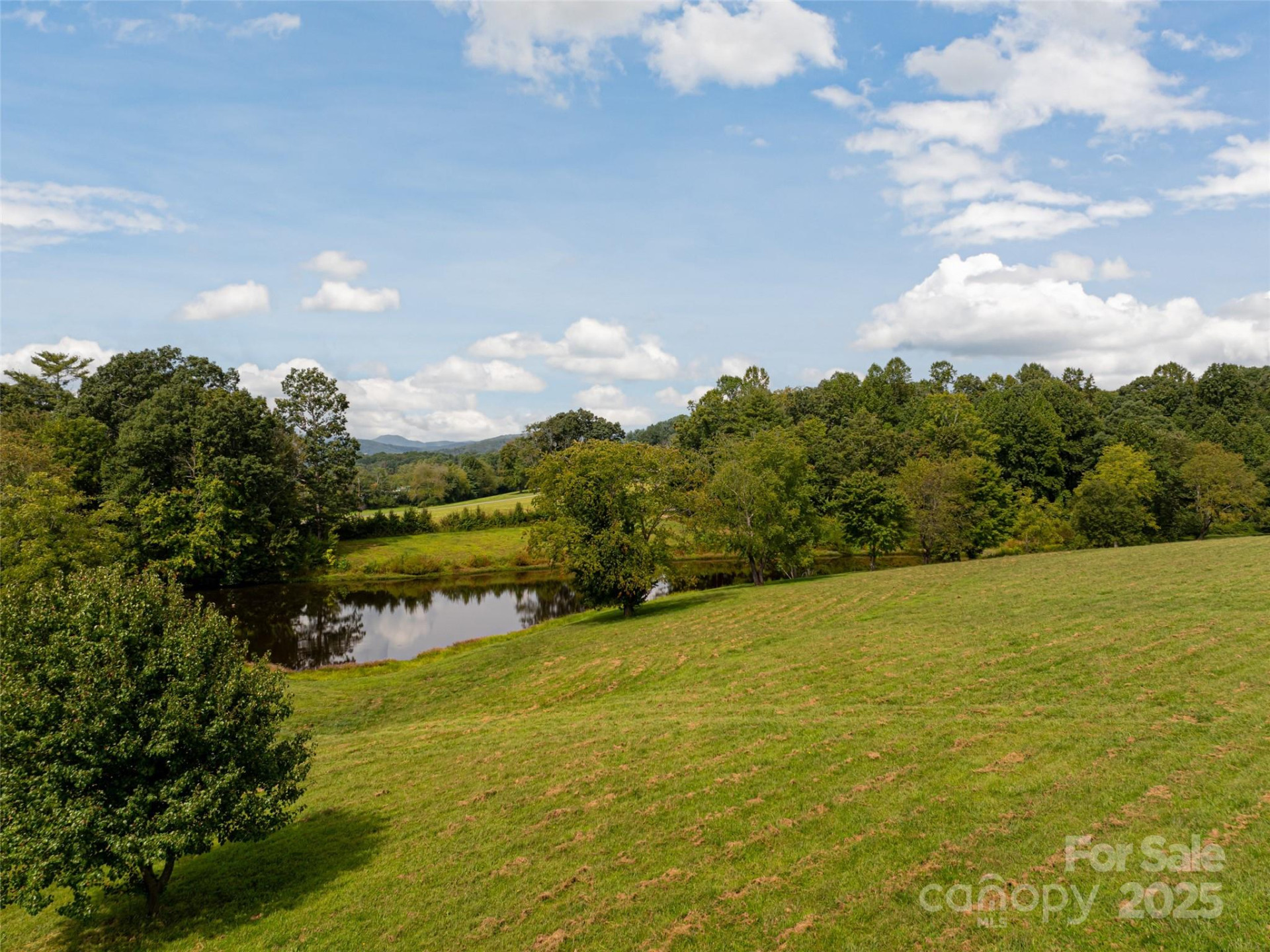 301 Majestic Ridge Road #57 - Photo 7