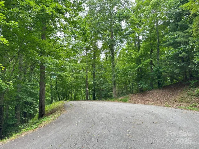 000 Ruffed Grouse Lane