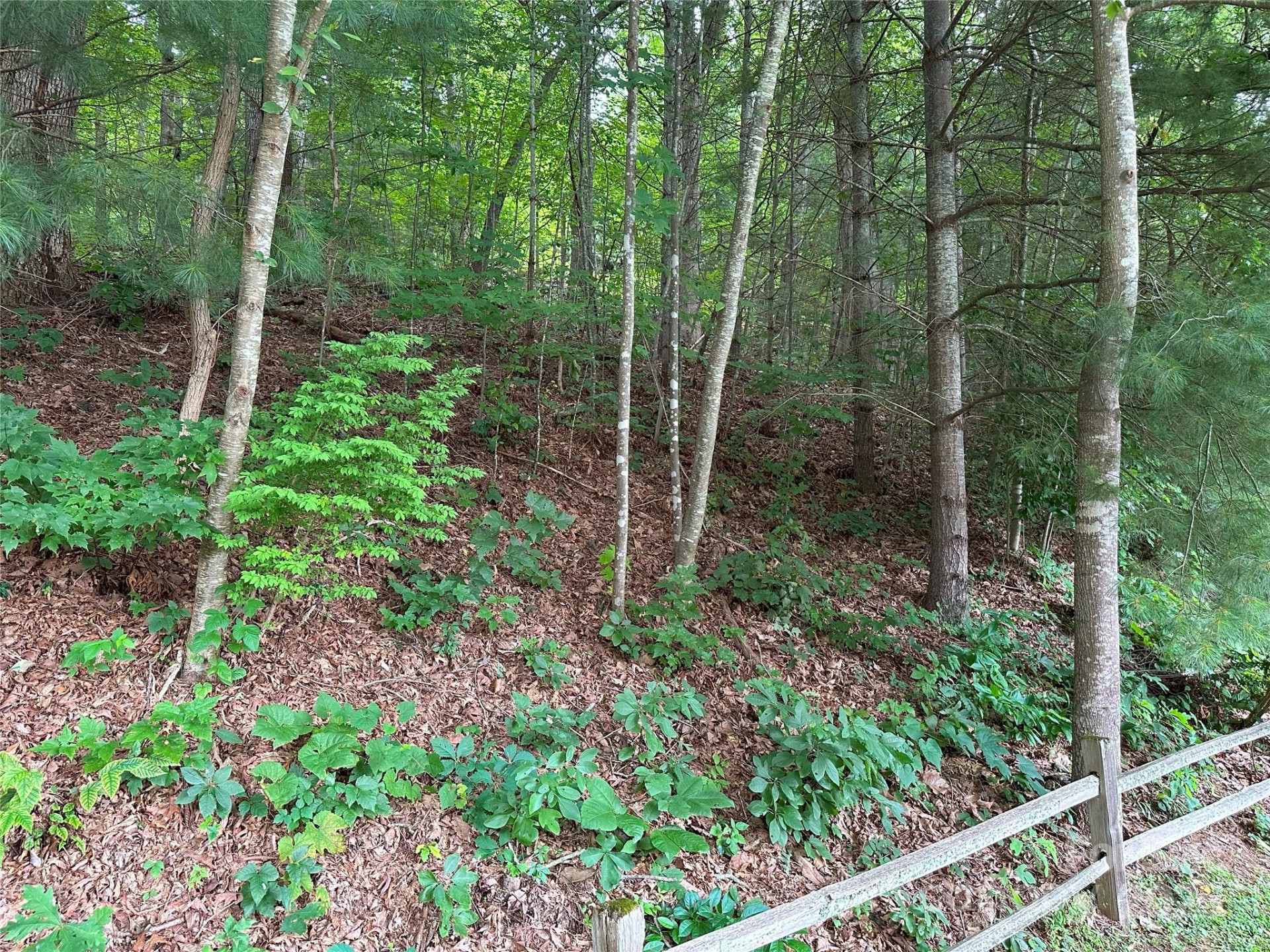 000 Ruffed Grouse Lane - Photo 2