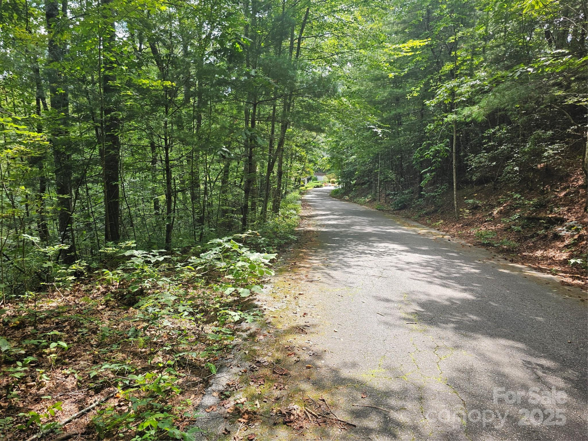 99999 Majestic Trace #25