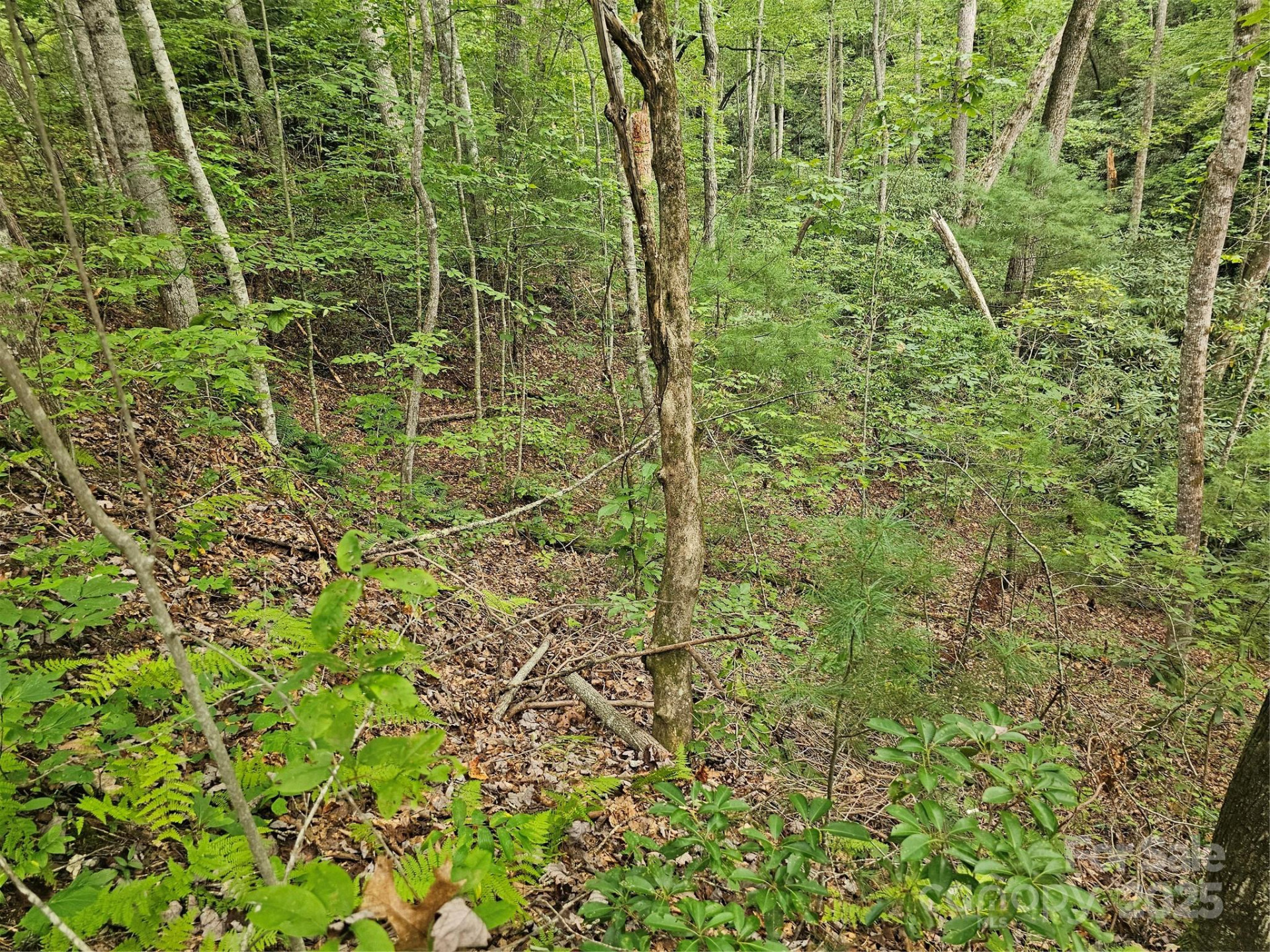 99999 Majestic Trace #25 - Photo 11