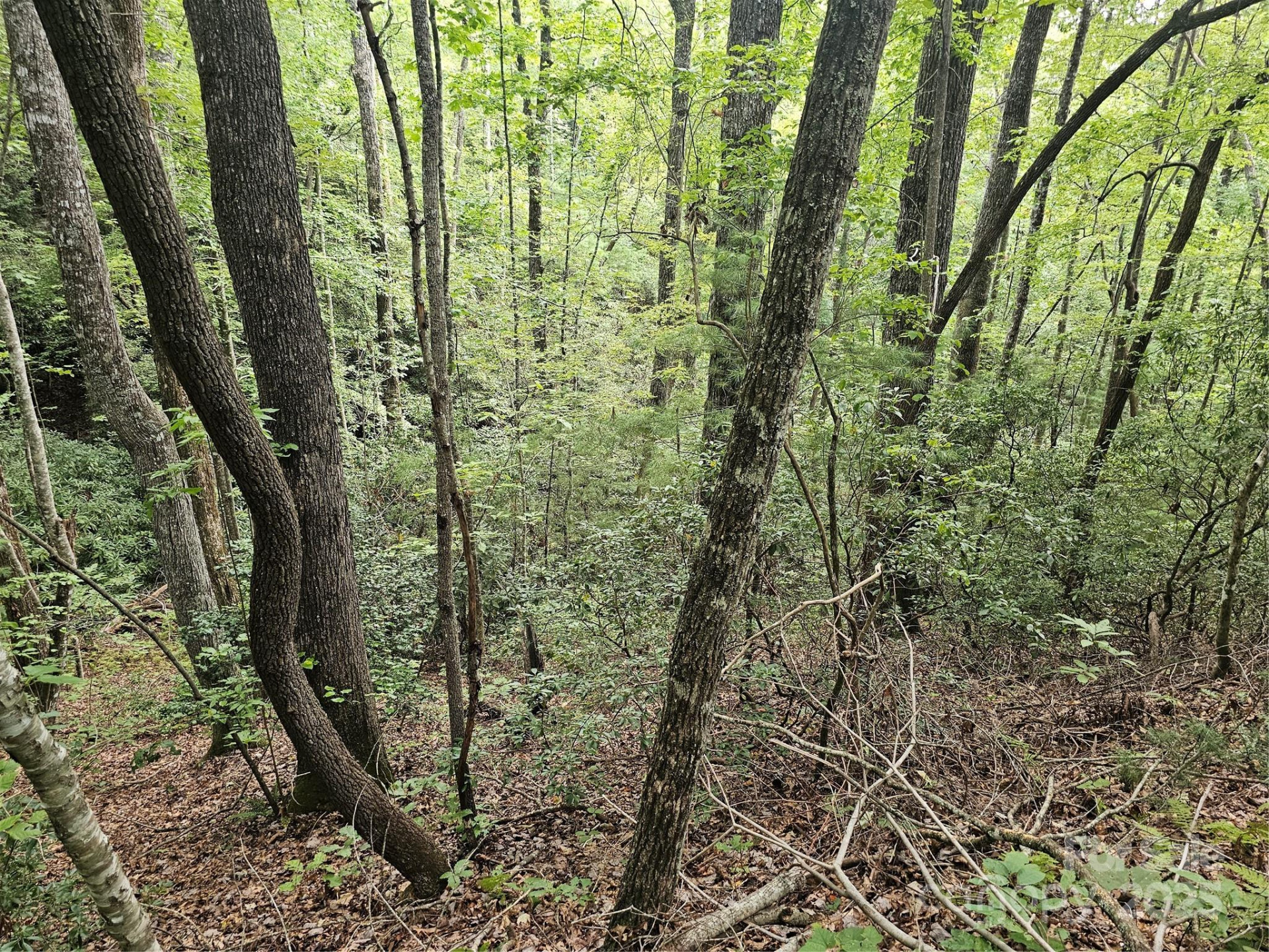 99999 Majestic Trace #25 - Photo 14