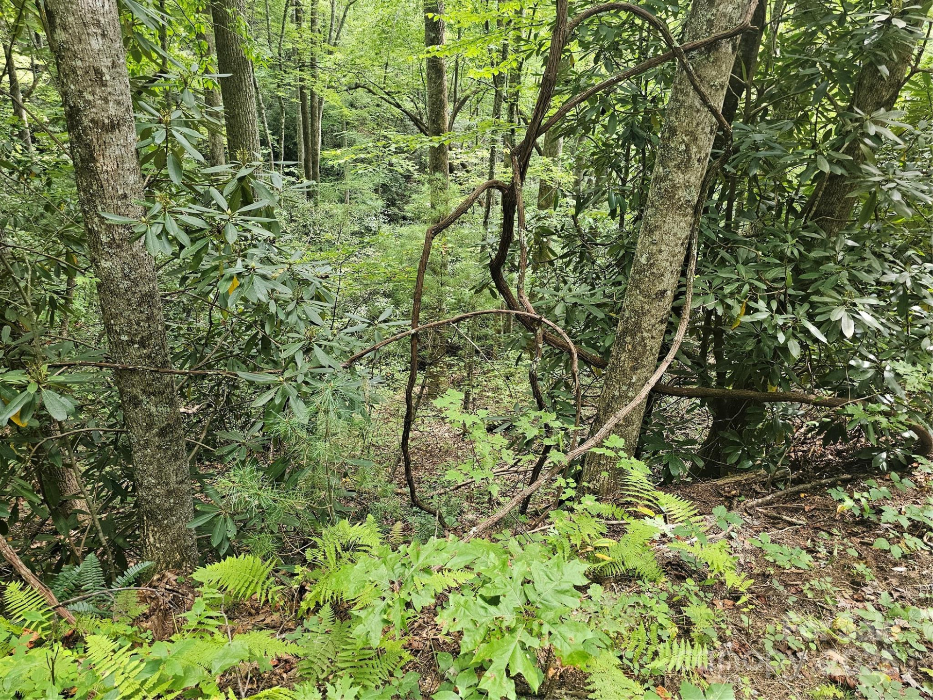 99999 Majestic Trace #25 - Photo 17